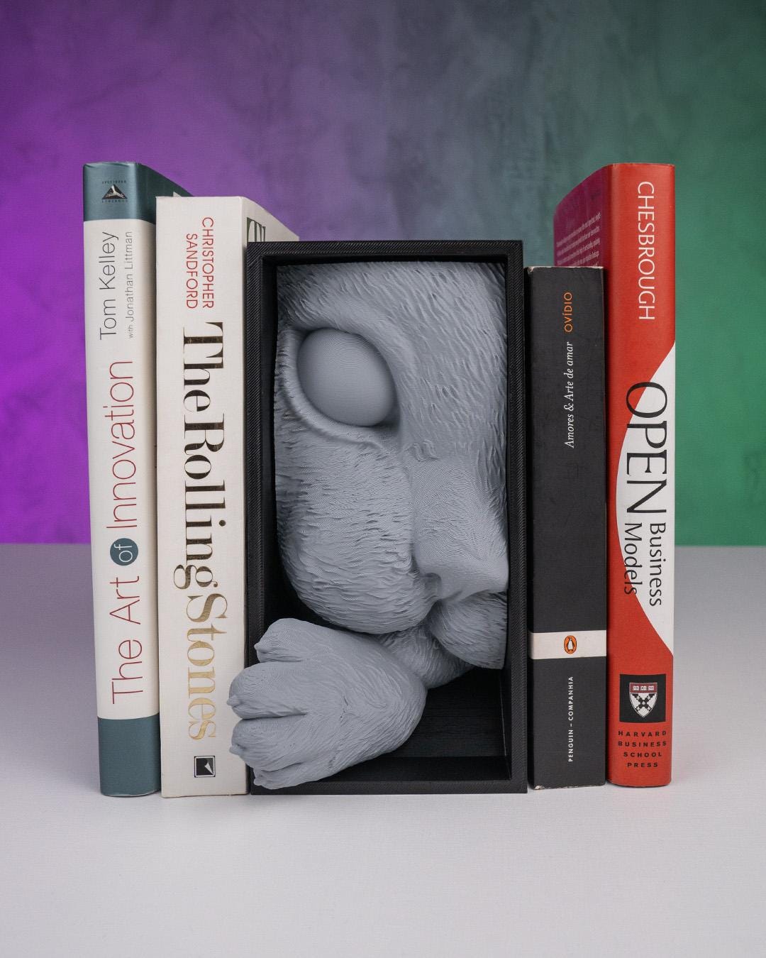 Cat's Curiosity Book Nook
