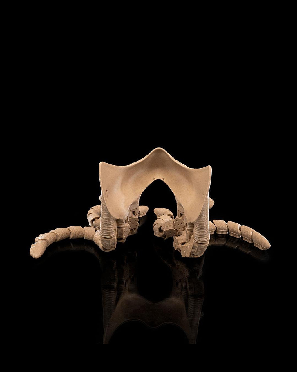 Abyssal Tentacles Halloween Mask