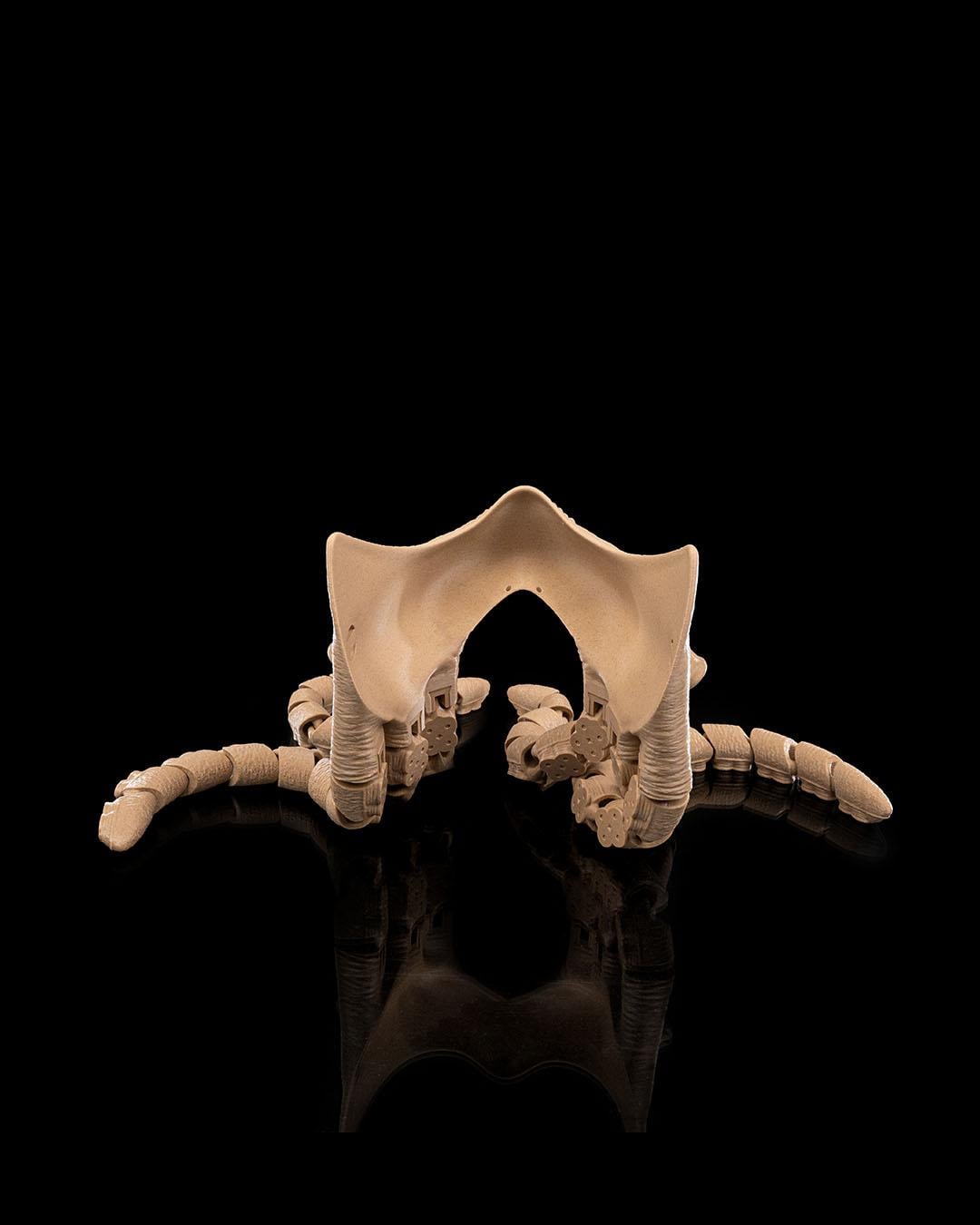 Abyssal Tentacles Halloween Mask