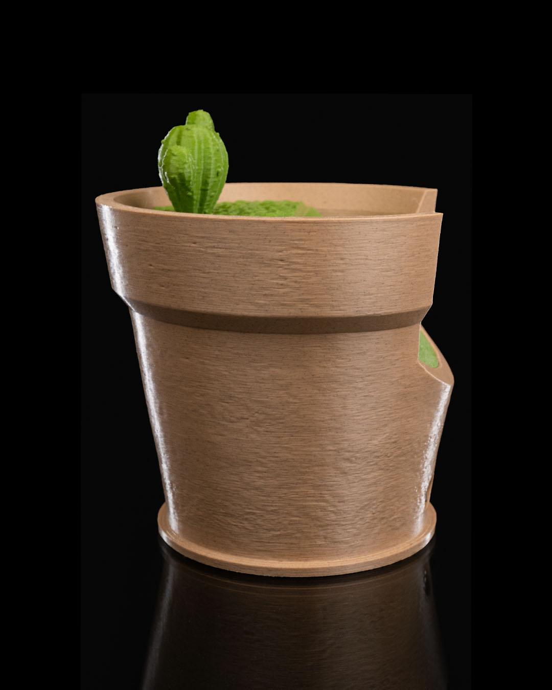 Cactus Vase Wall Light