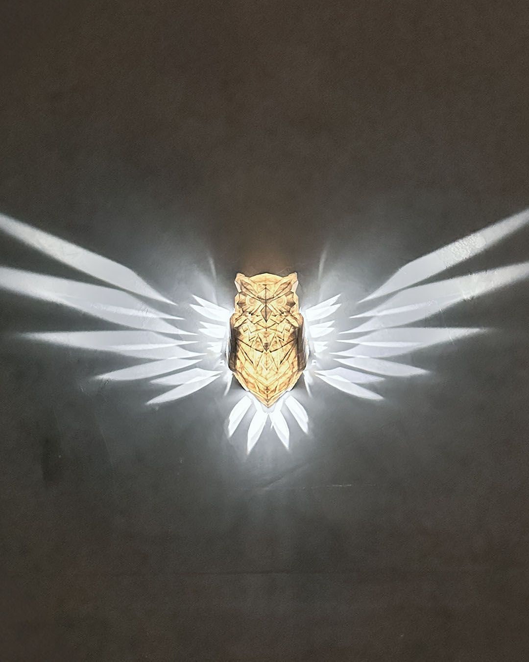 Night Owl Wall Light