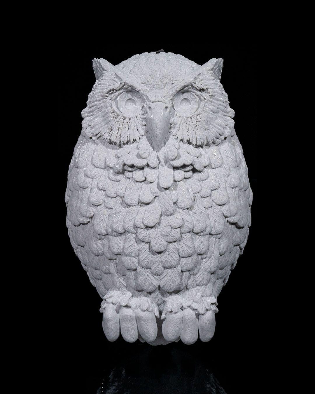Day Owl Wall Light