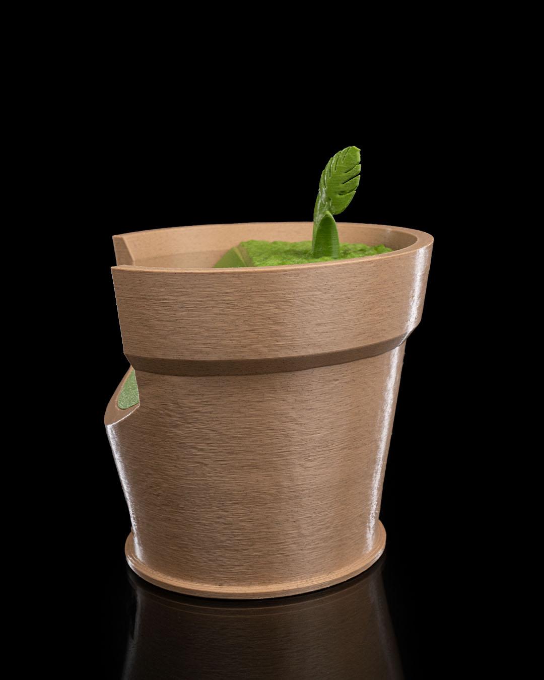 Monstera Vase Wall Light