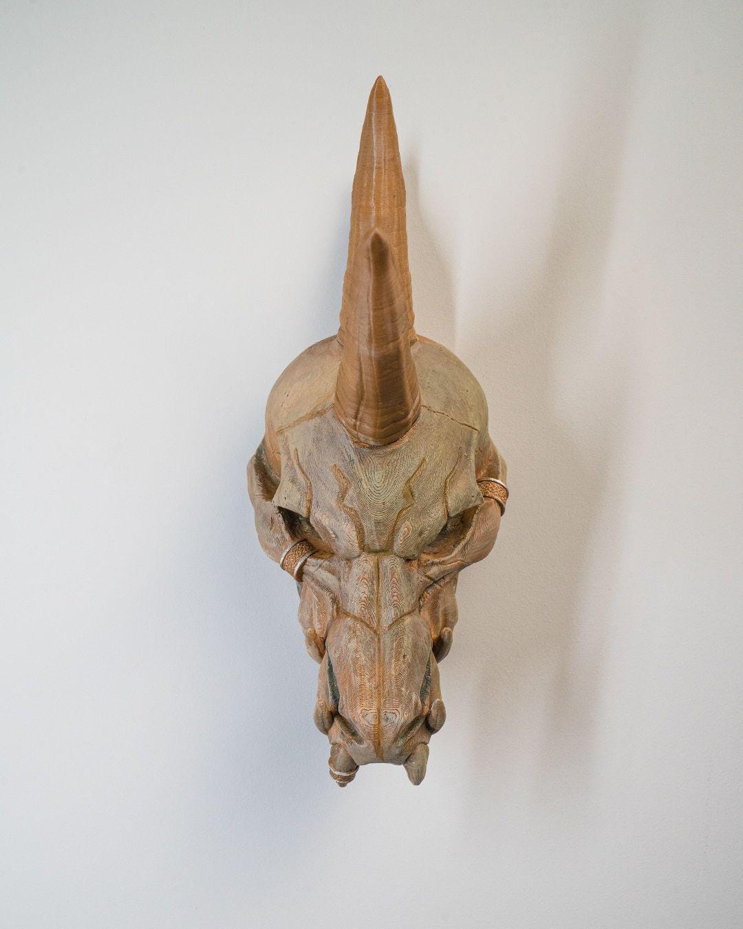 Black Dragon Skull