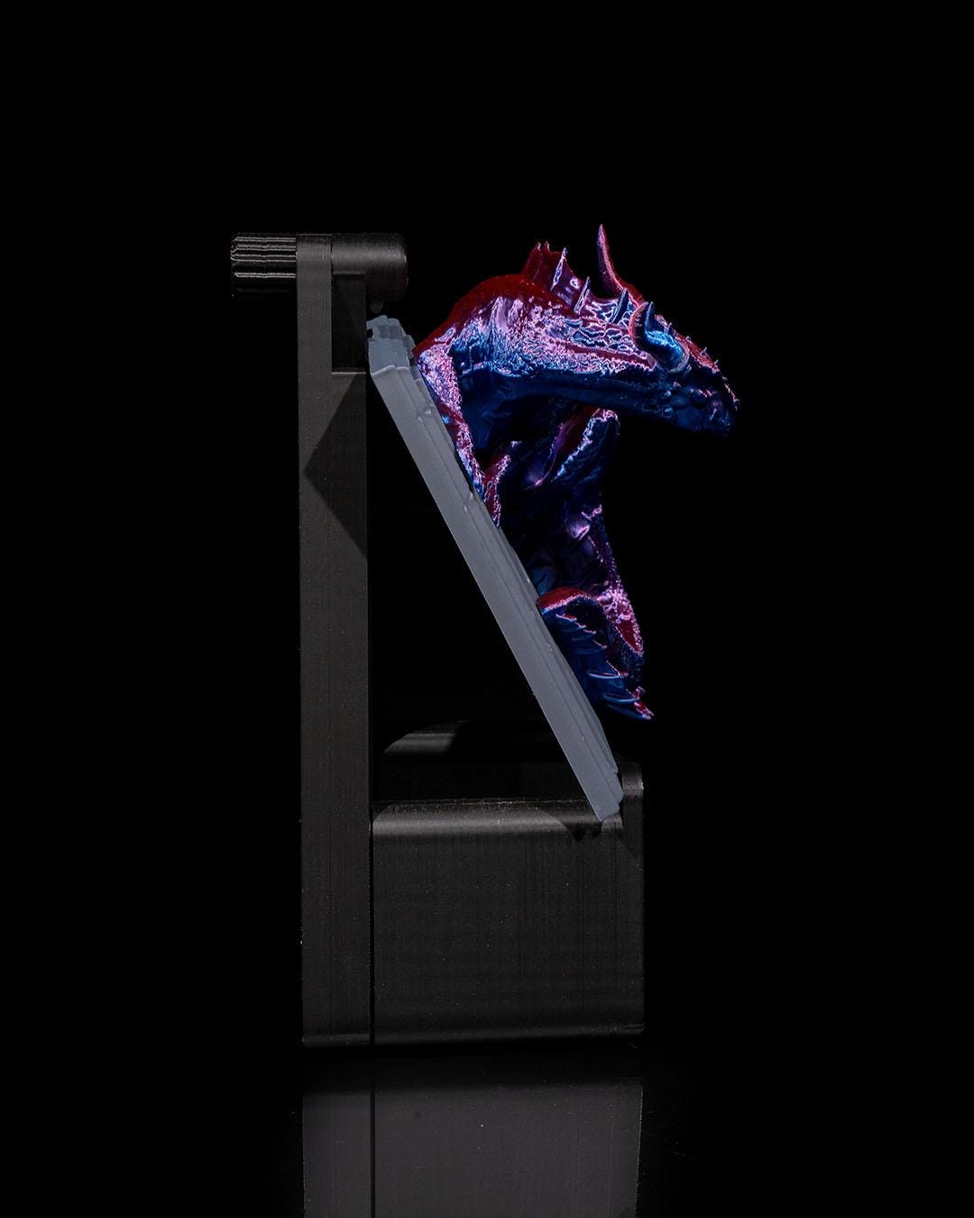 Dragon Warden Light Switch Cover