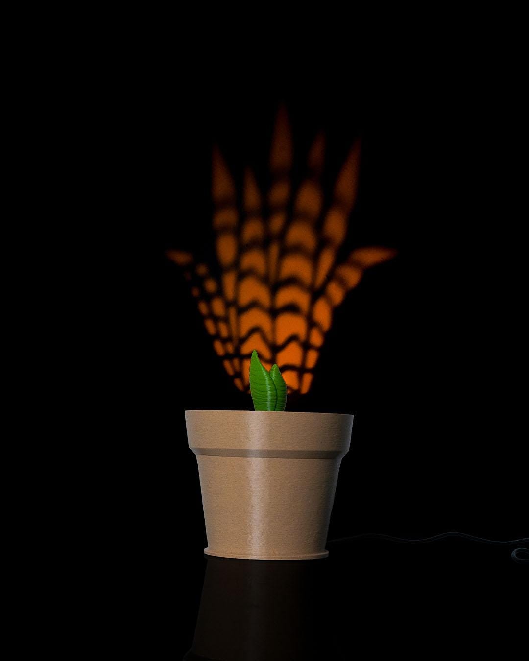 Snake Plant Wall Light
