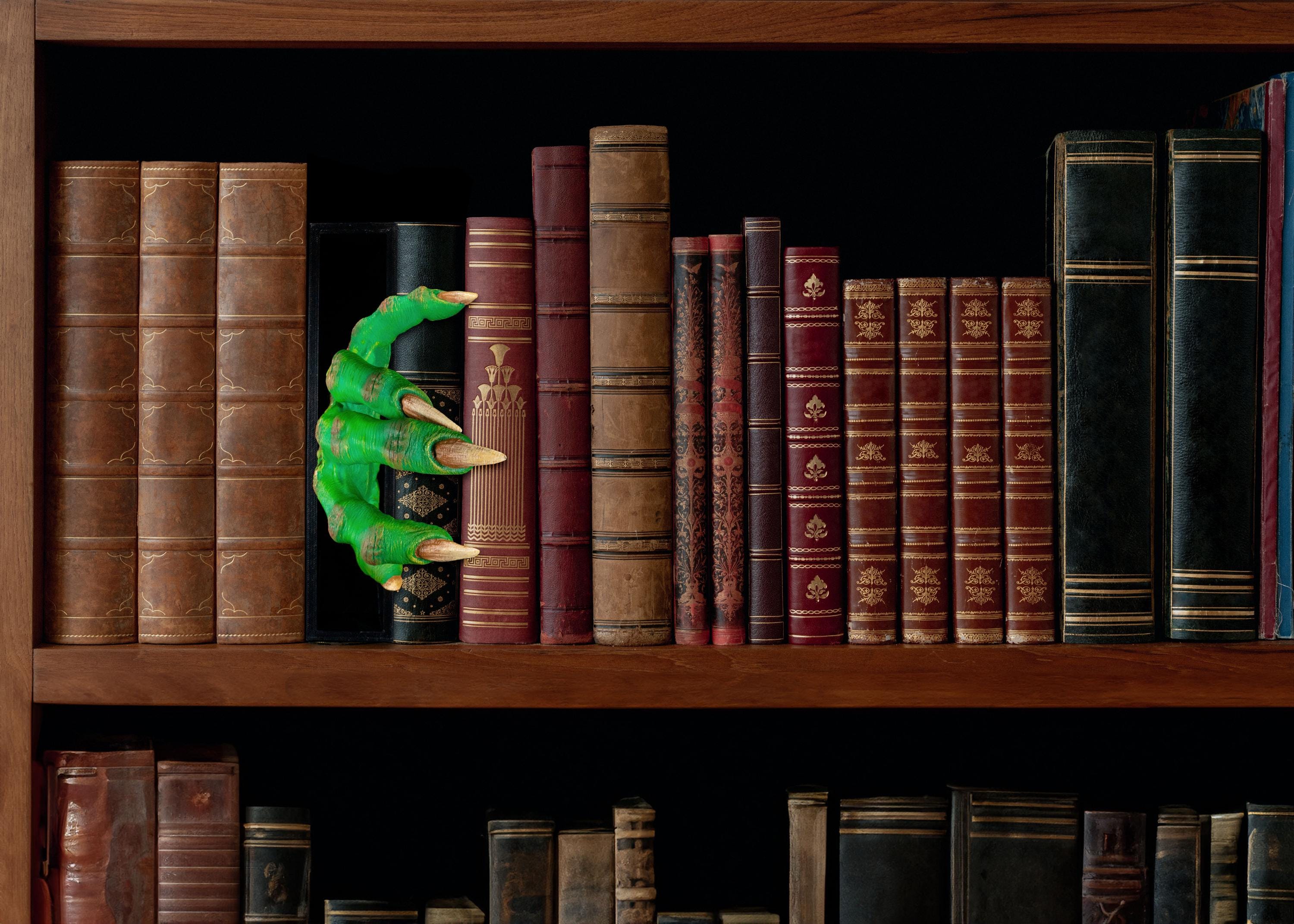 Creeping In Book Nook