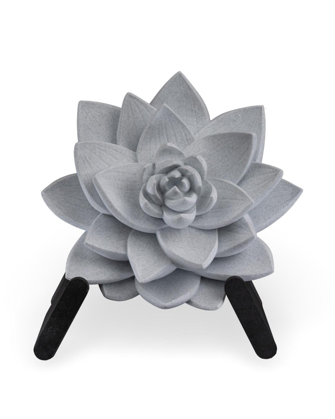 The Lotus Wall Light