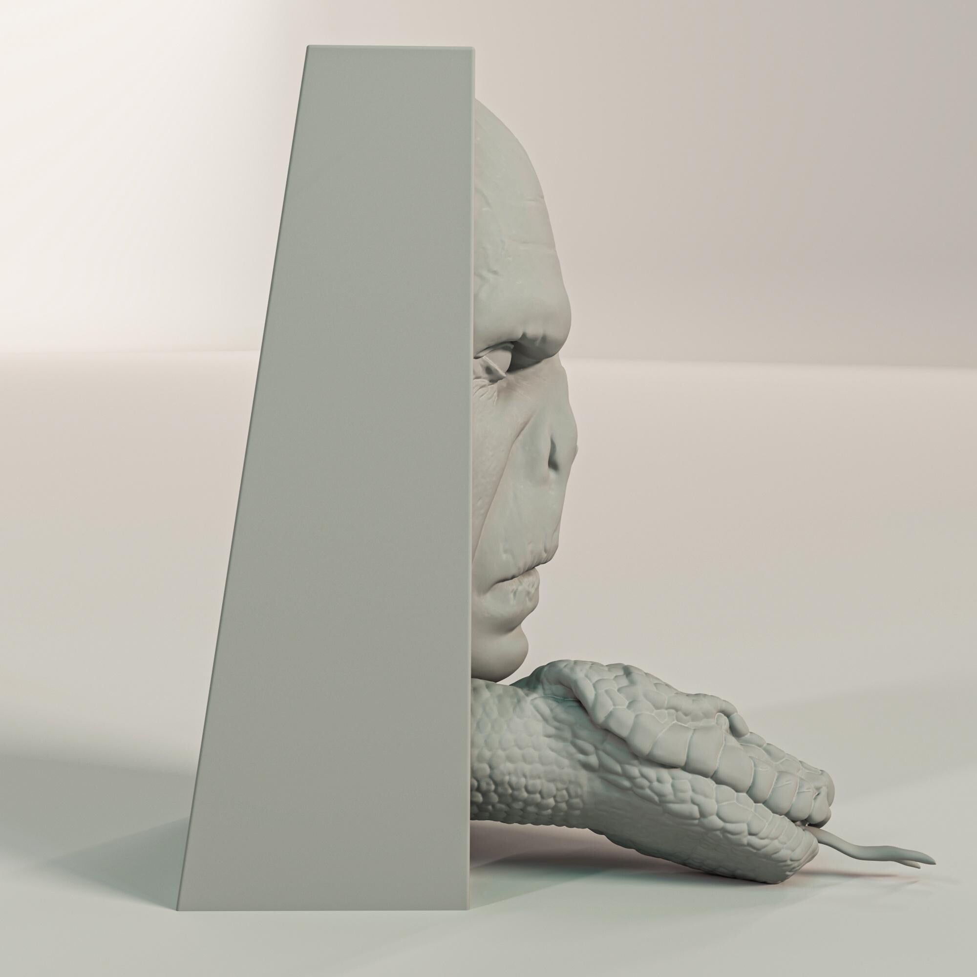 Voldemort Book Nook and Wall Mount