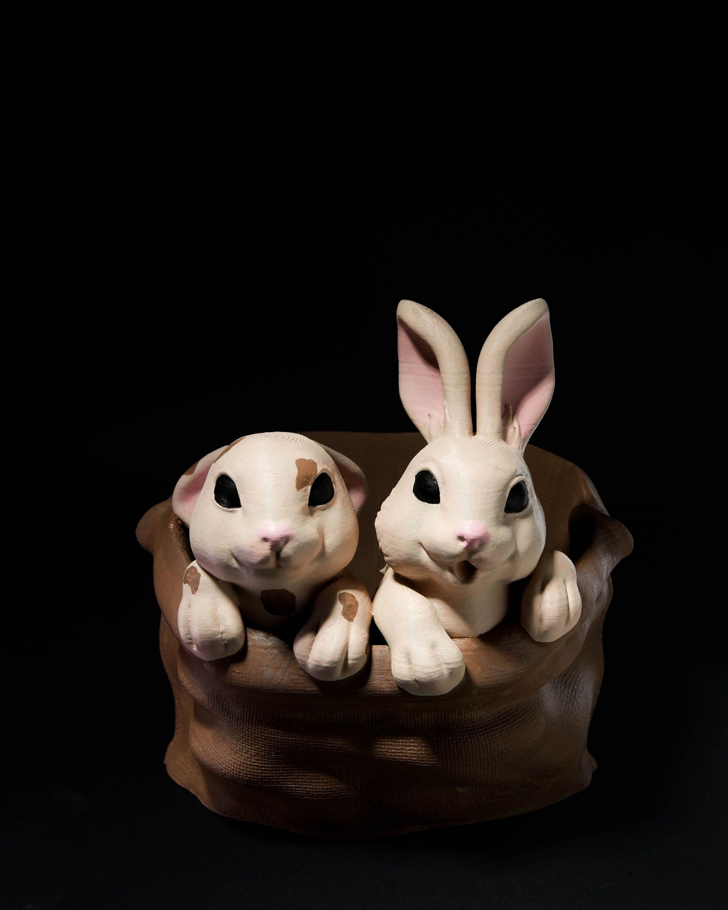 Easter Bunny Baskets - Baby Kitten