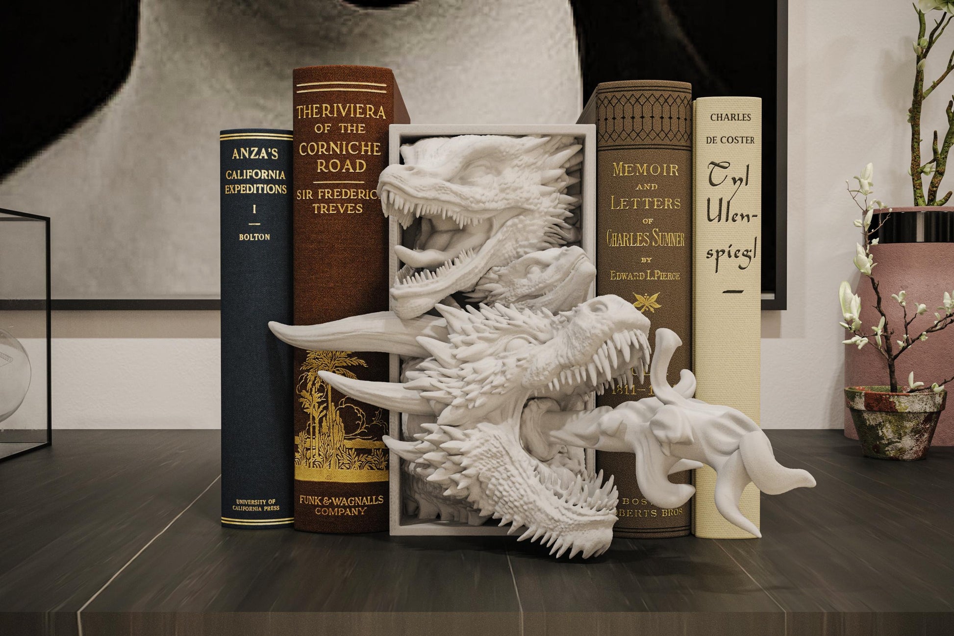 Drogon Book Nook and Wall Mount