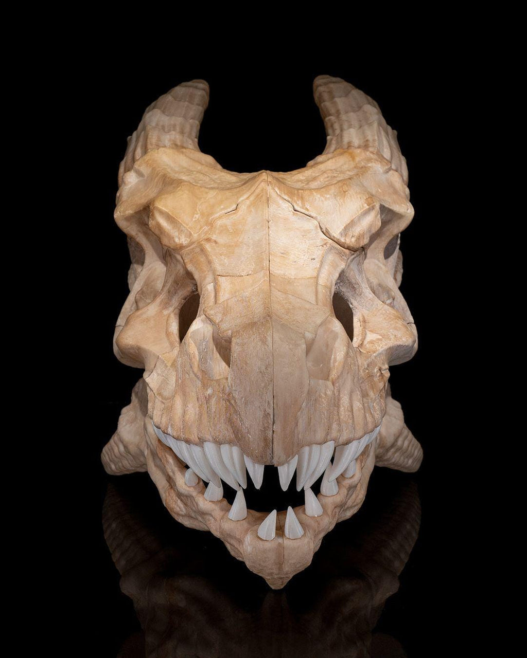 Epic Red Dragon Skull