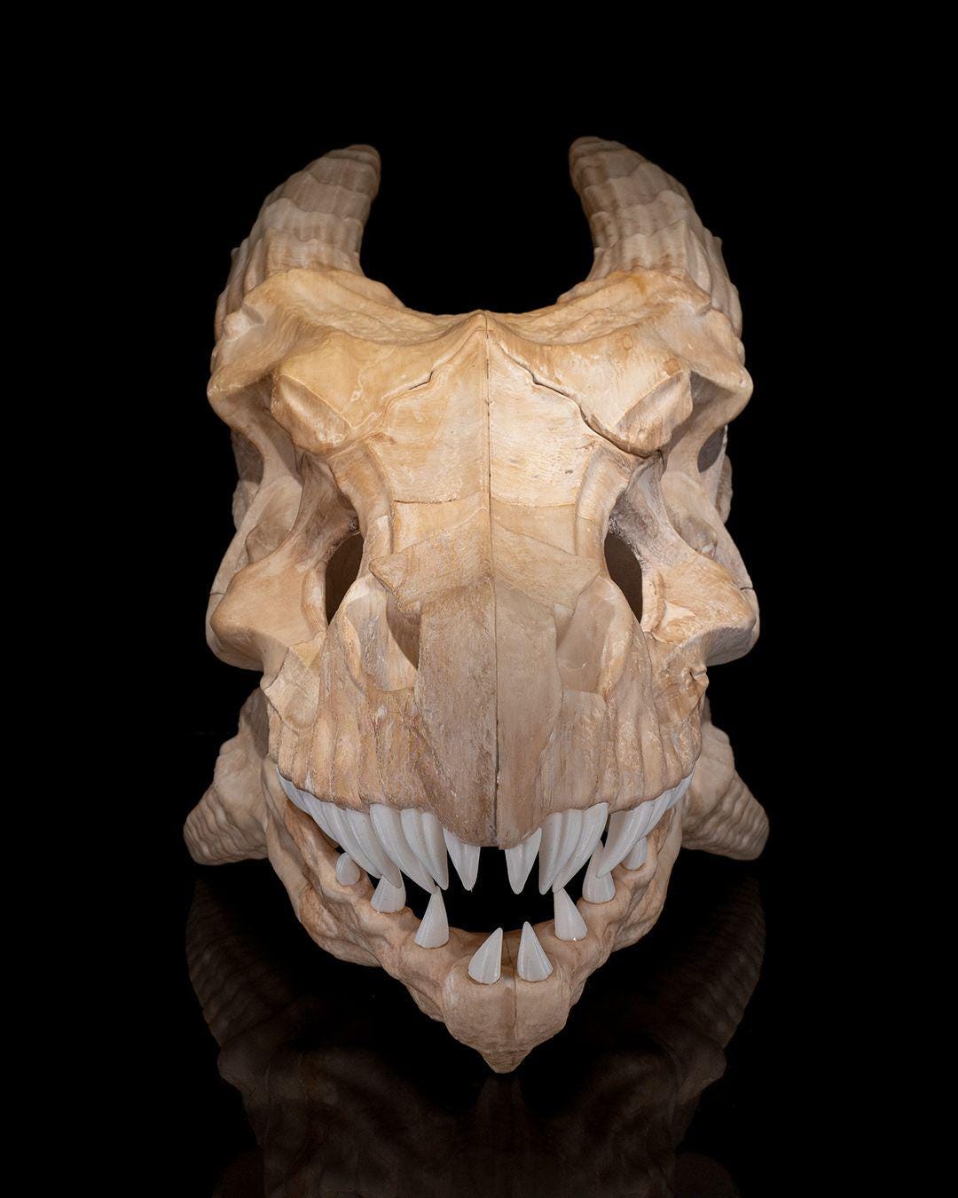 Epic Red Dragon Skull