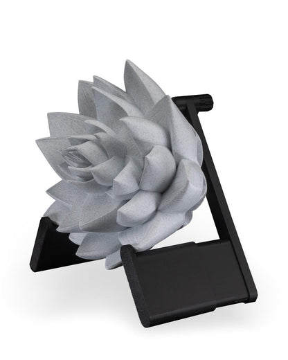 The Lotus Wall Light