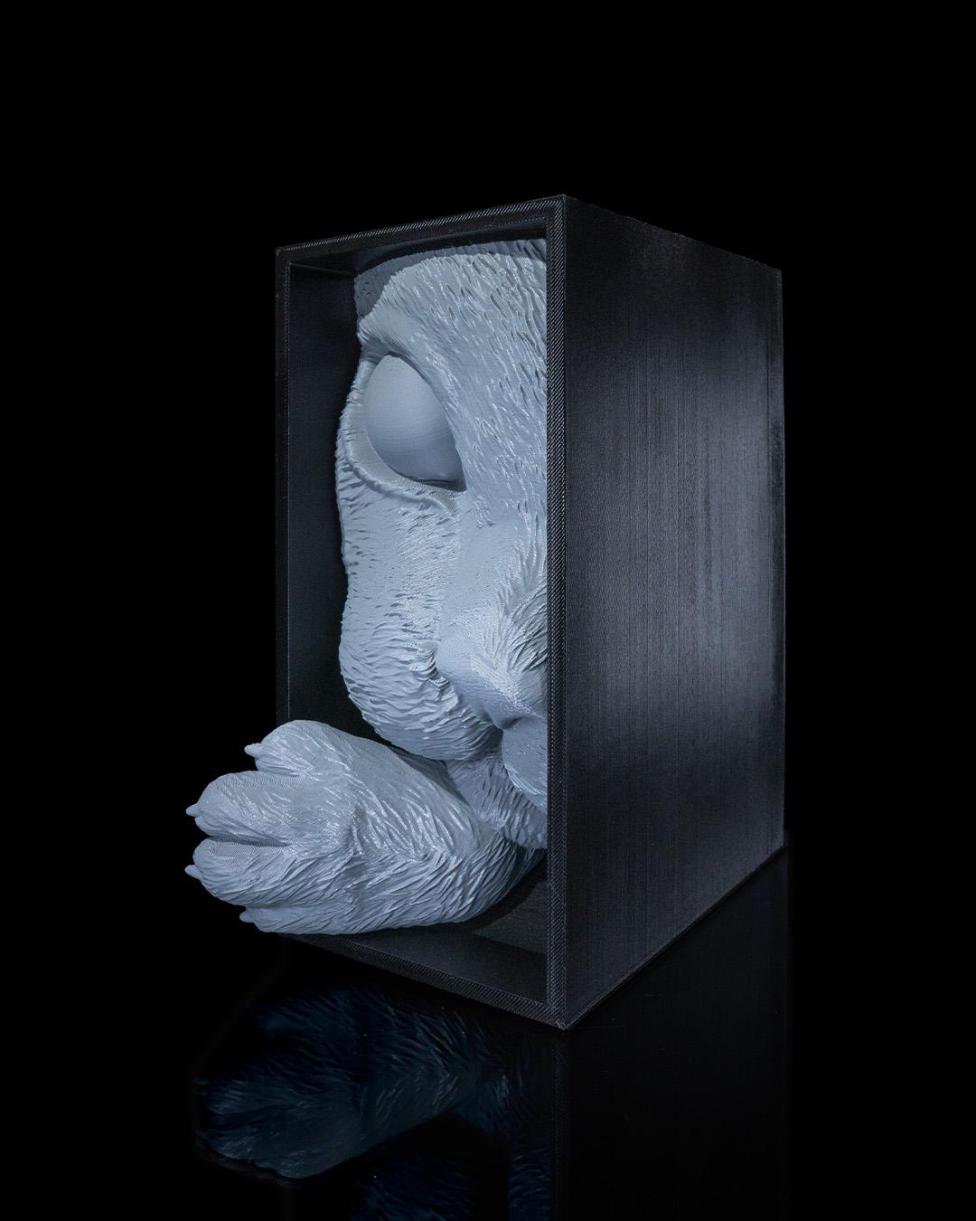 Cat's Curiosity Book Nook