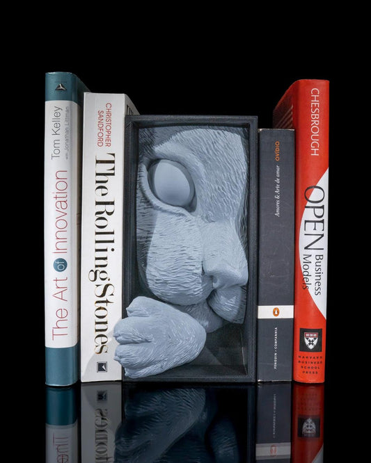 Cat's Curiosity Book Nook