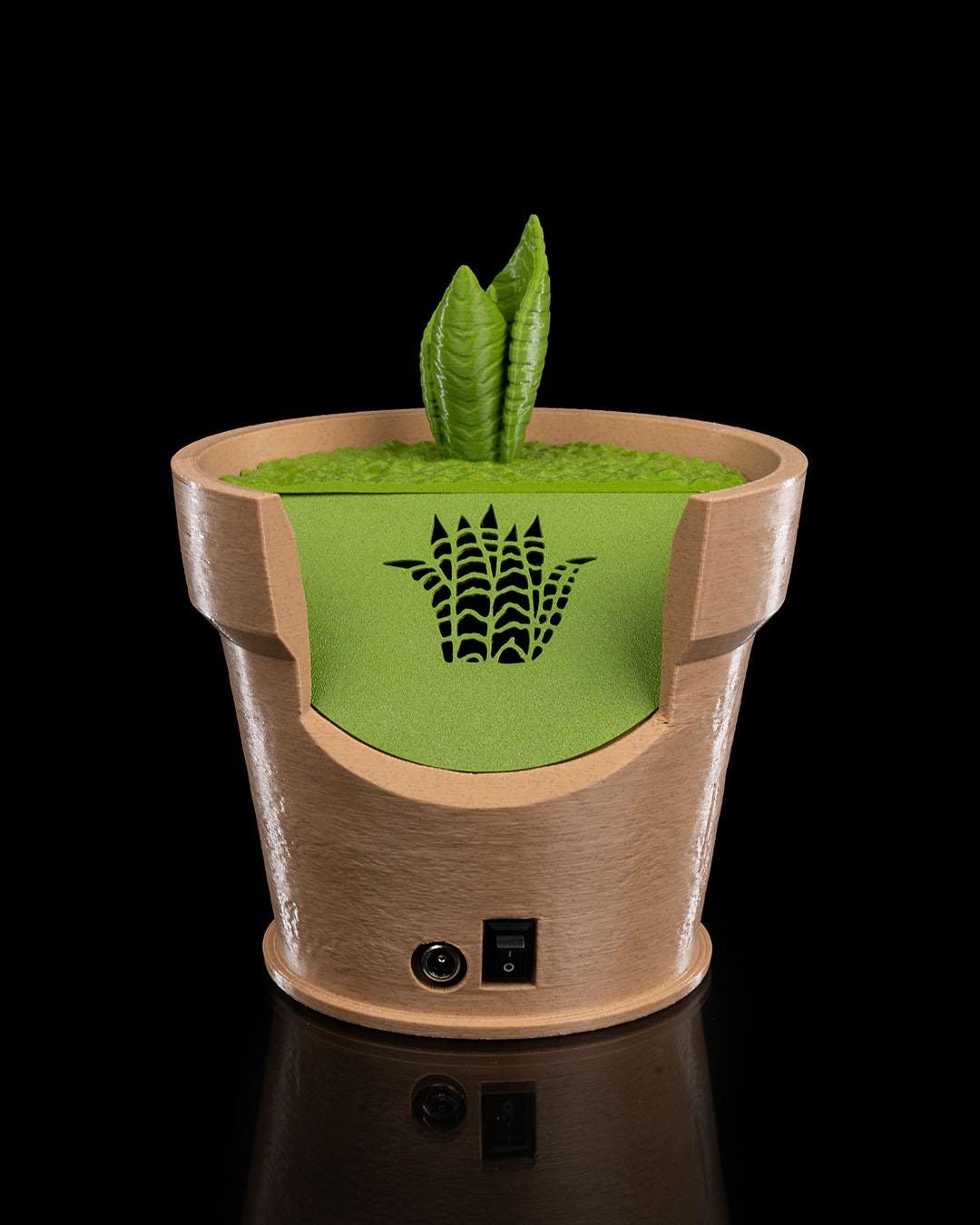 Snake Plant Wall Light