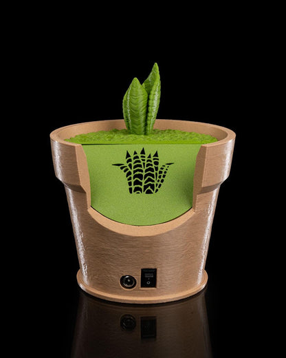 Snake Plant Wall Light