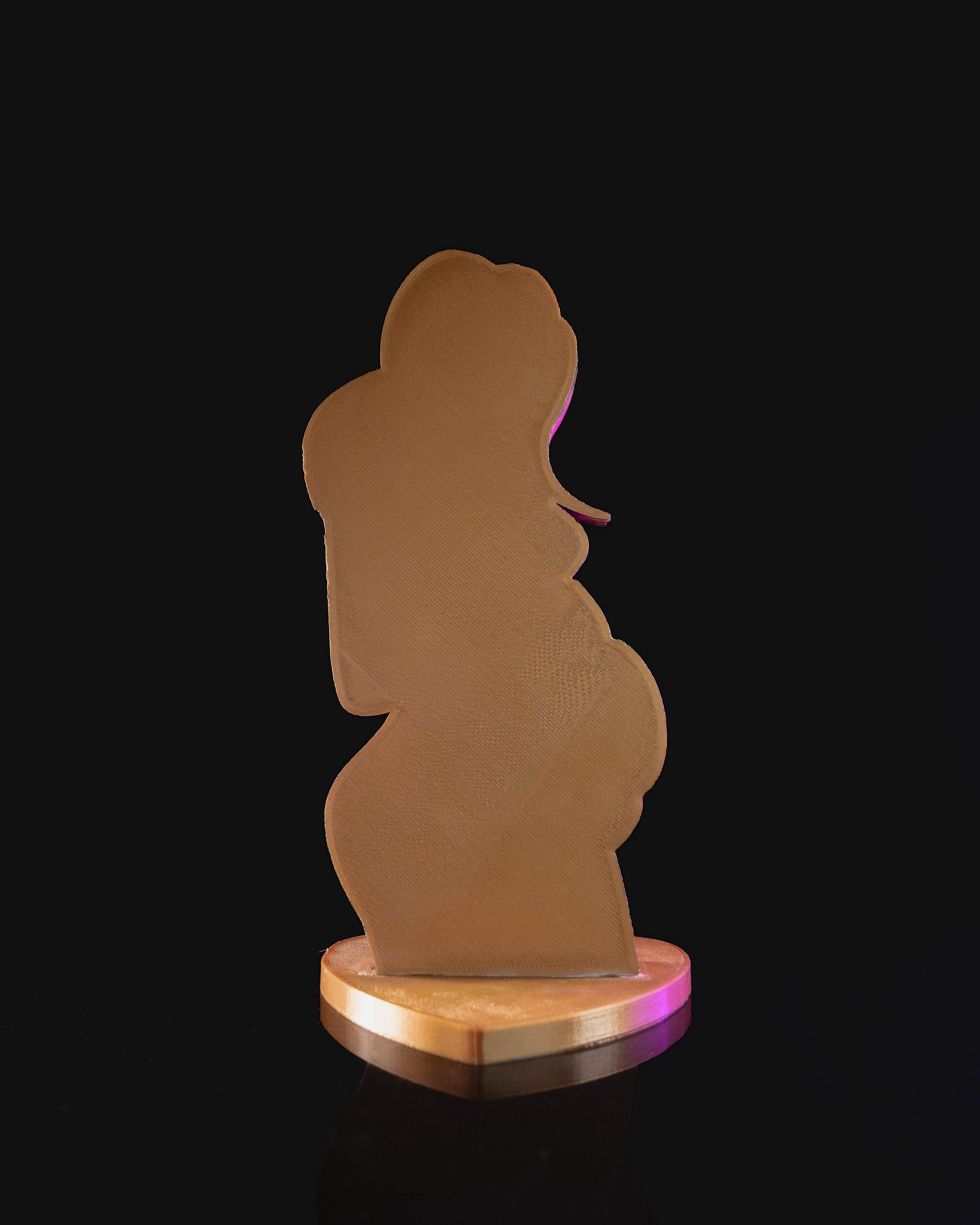 Future Mother Ultrasound Holder