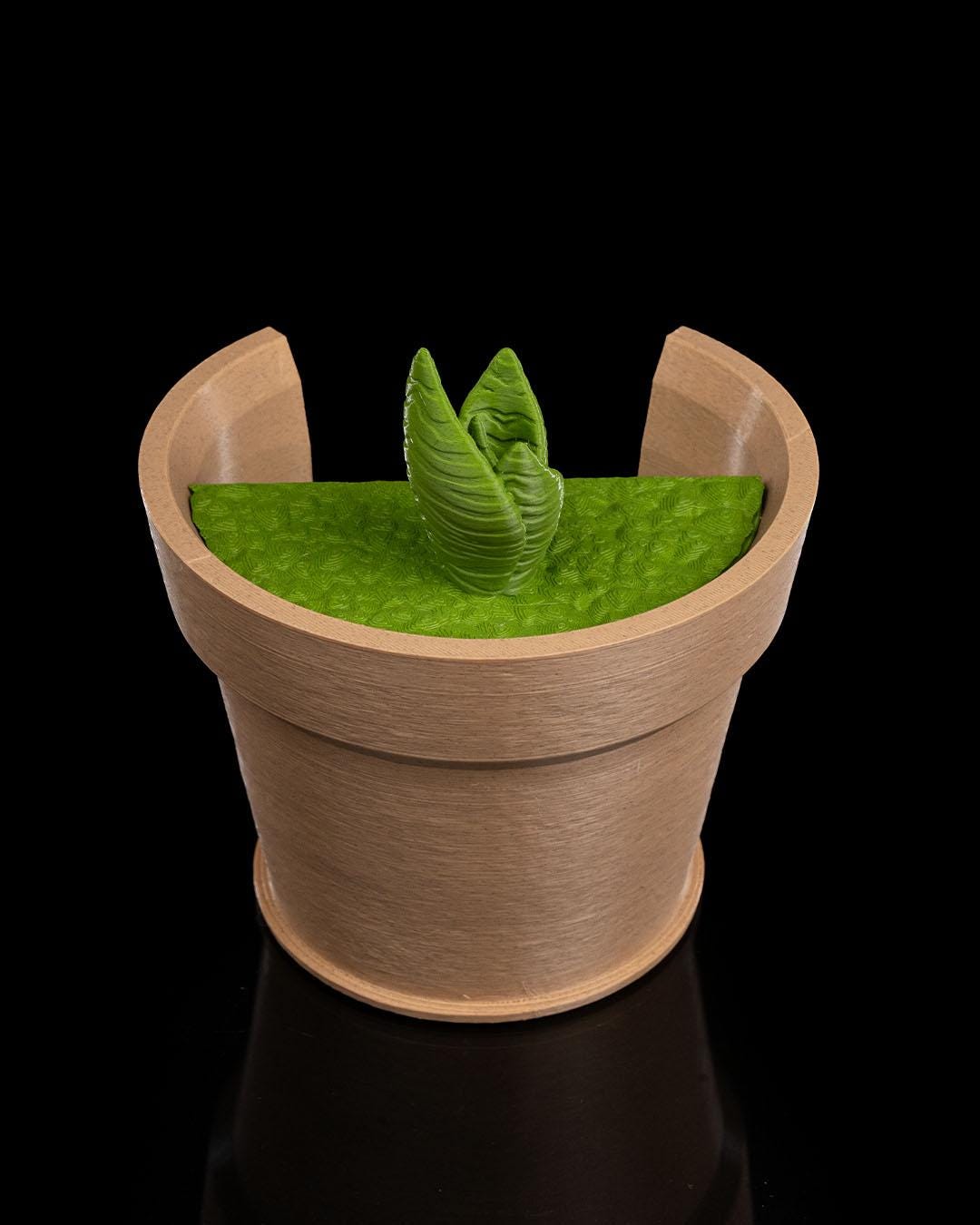 Snake Plant Wall Light