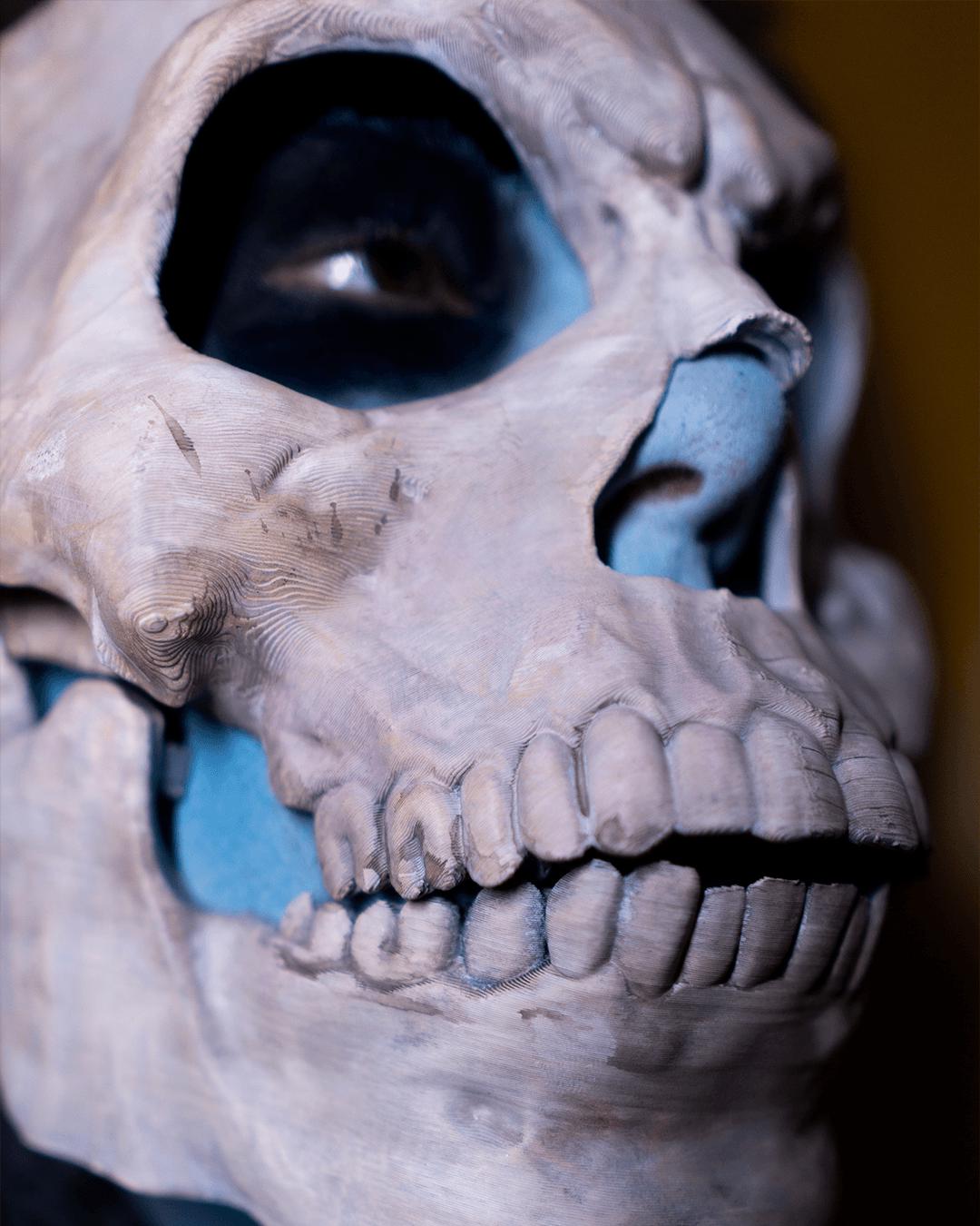 Skeleton Mask