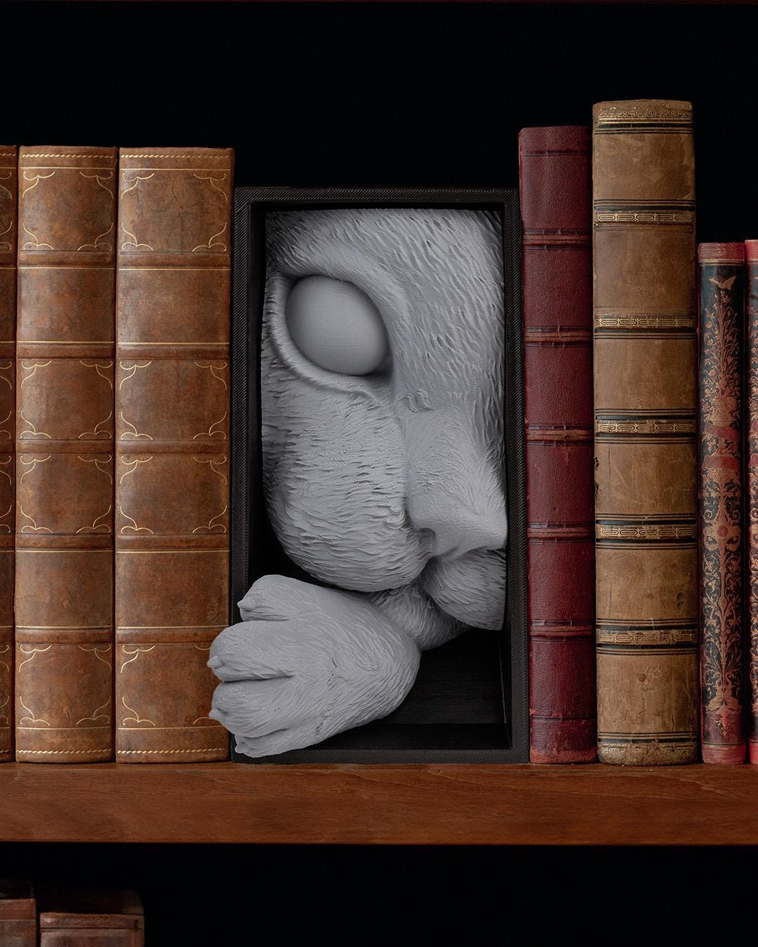 Cat's Curiosity Book Nook