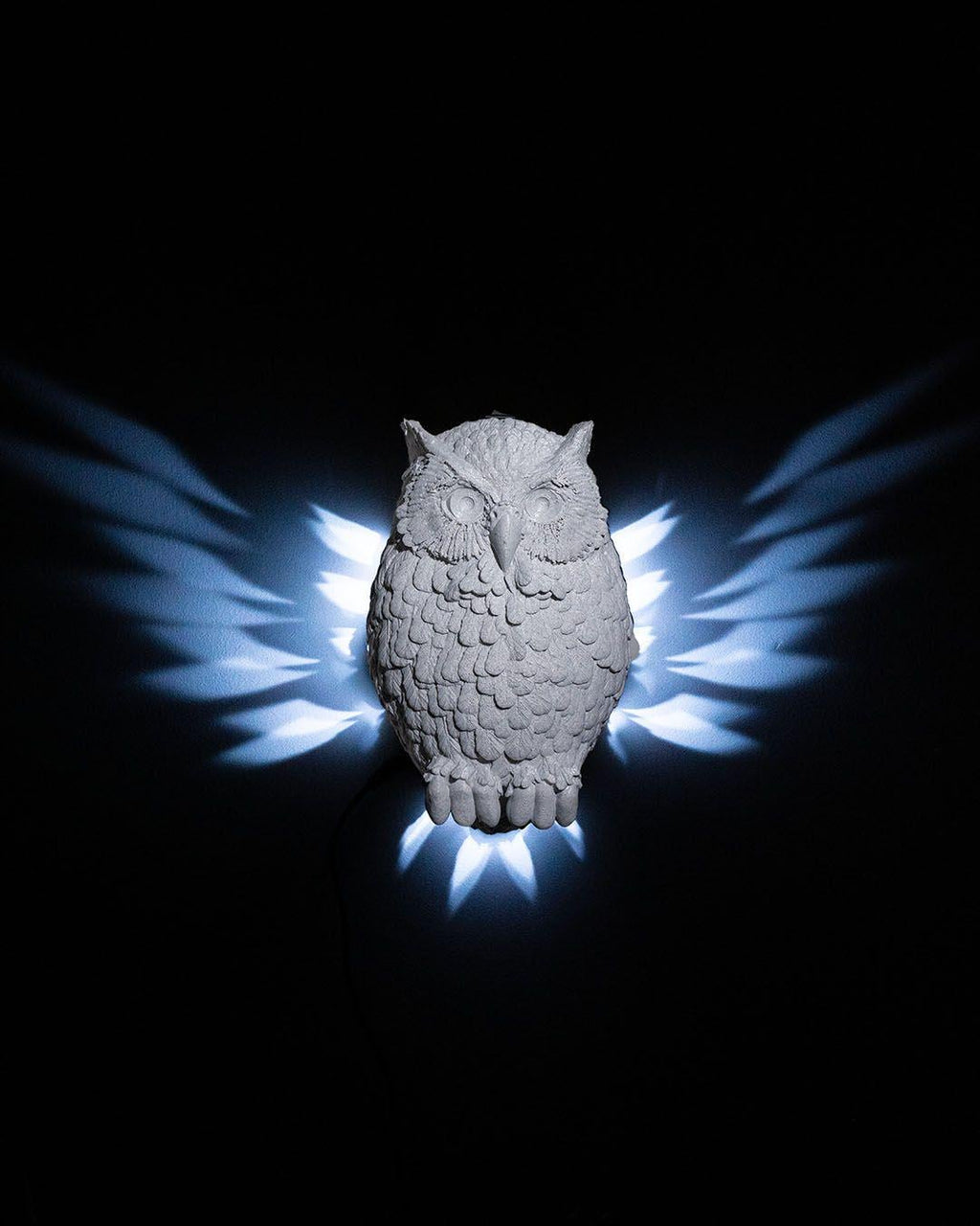 Day Owl Wall Light