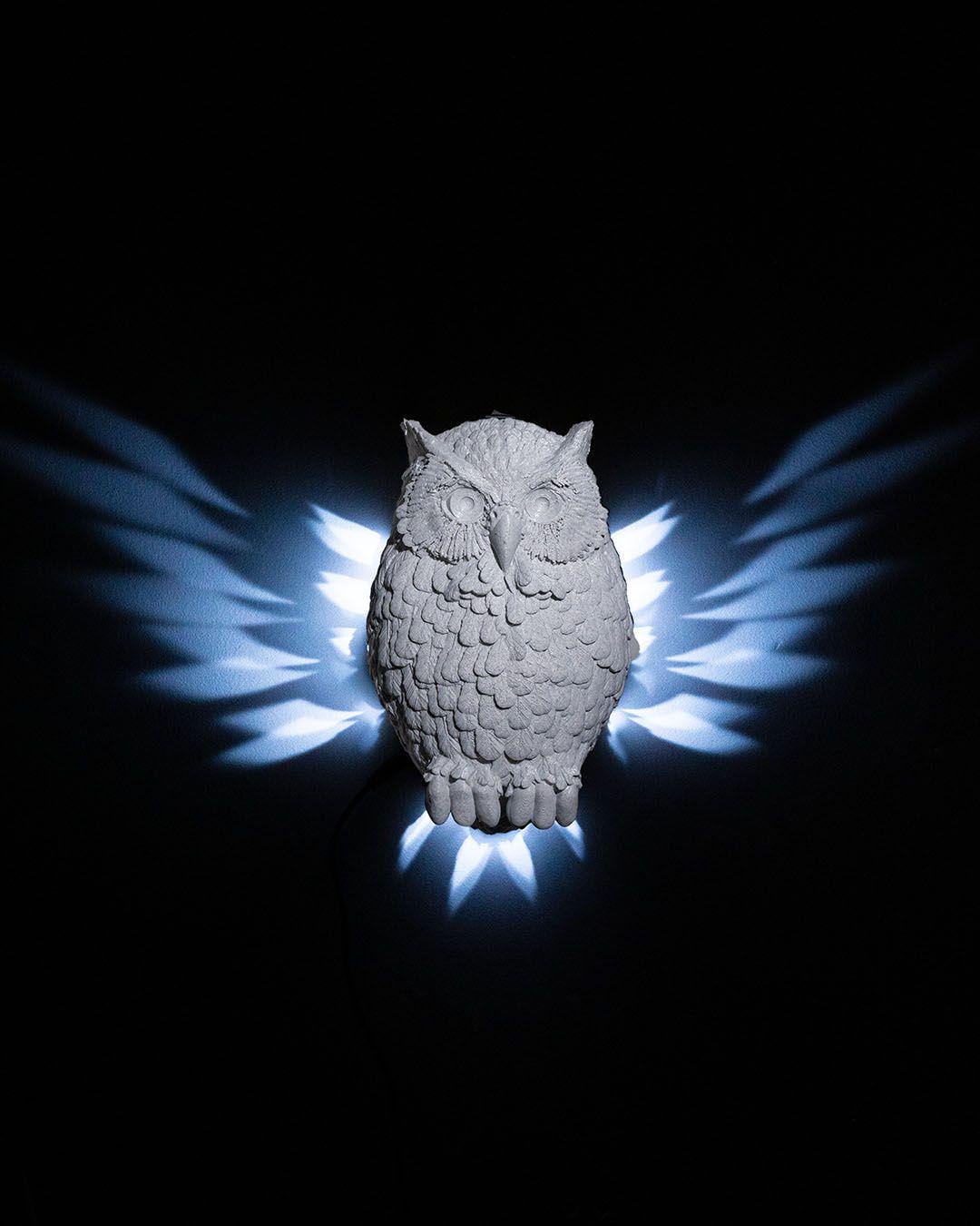 Day Owl Wall Light