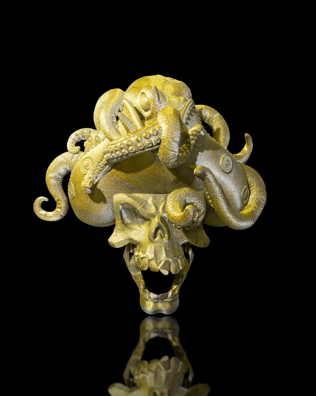 Another Pirate Door Knocker