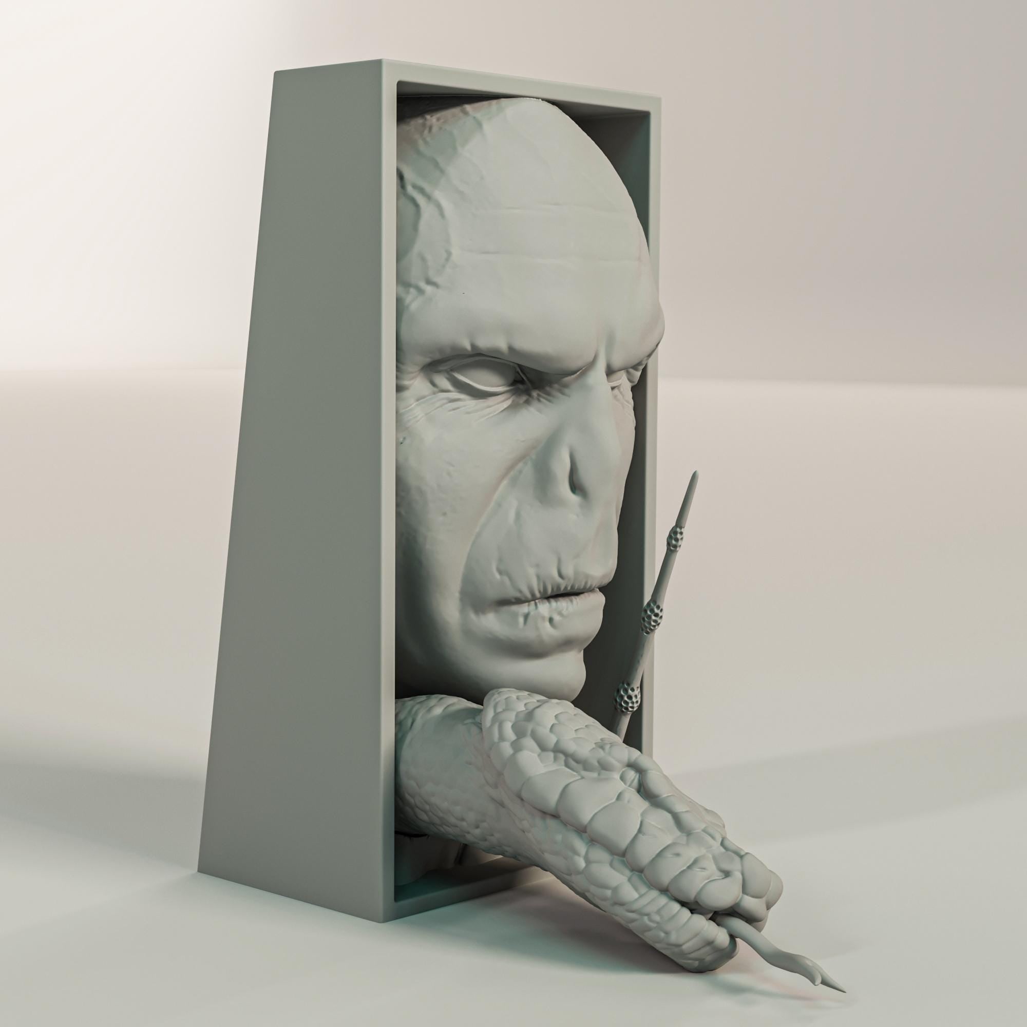 Voldemort Book Nook and Wall Mount