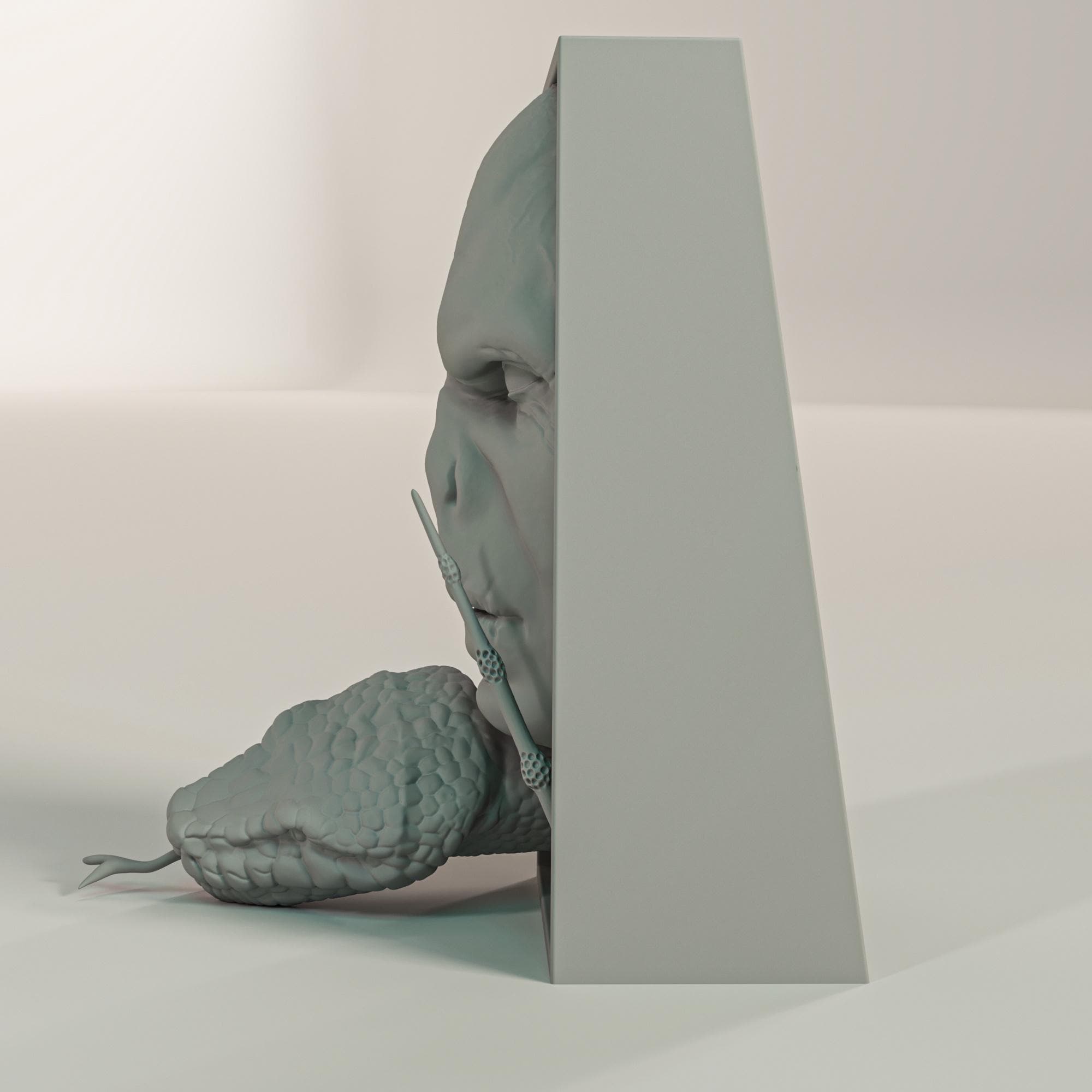 Voldemort Book Nook and Wall Mount