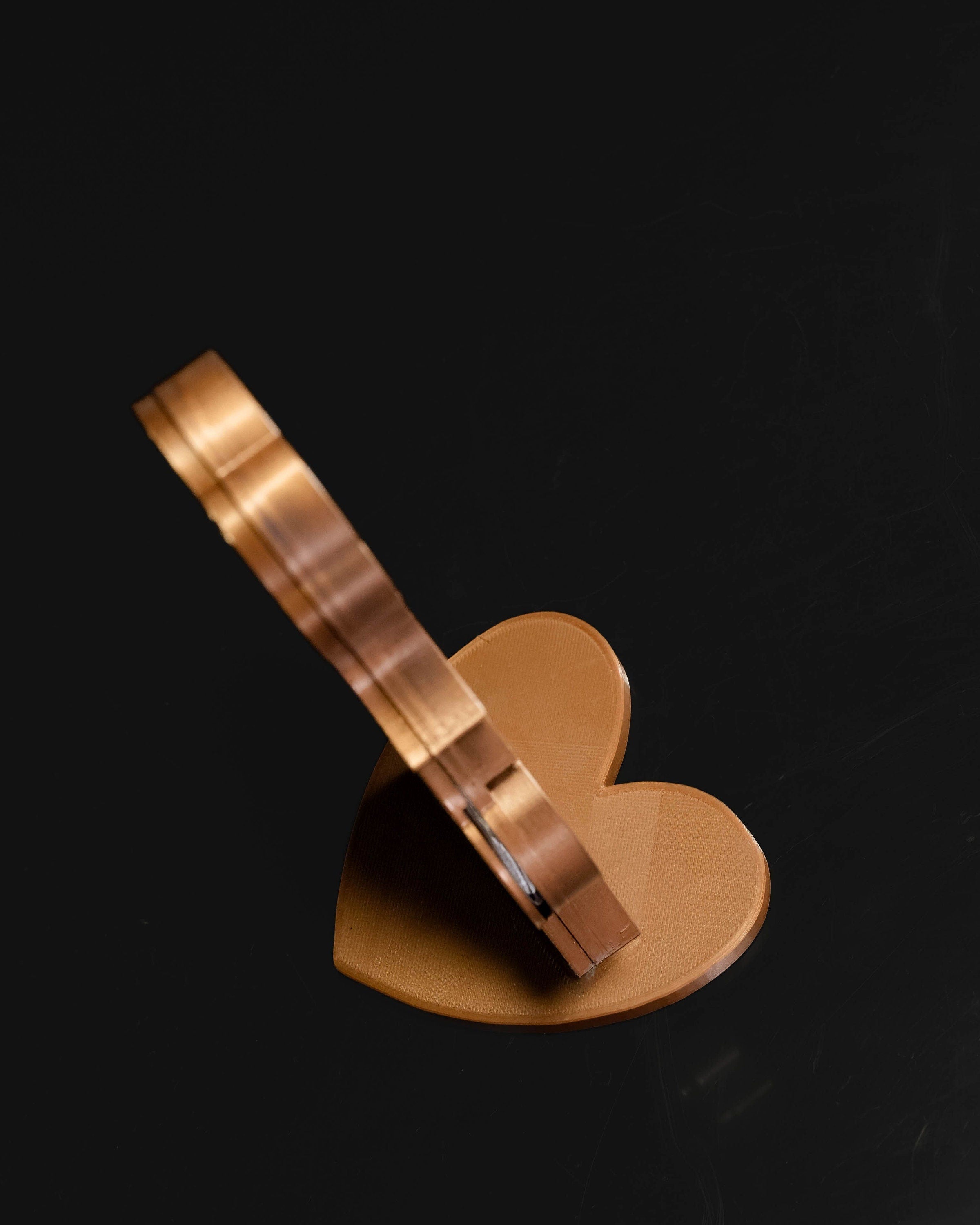 Future Mother Ultrasound Holder