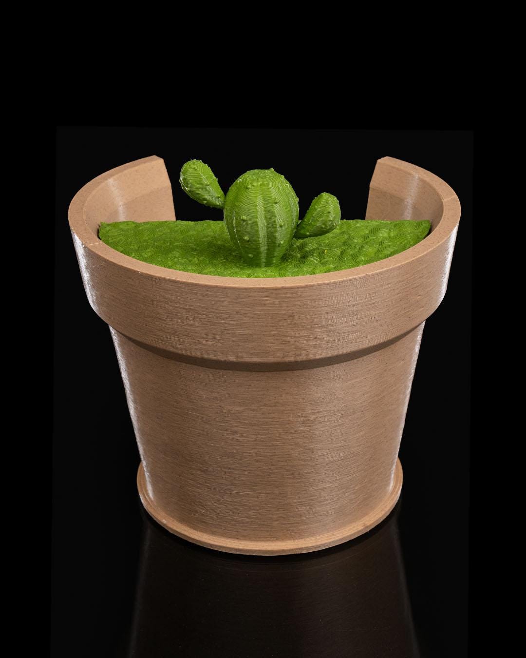 Cactus Vase Wall Light