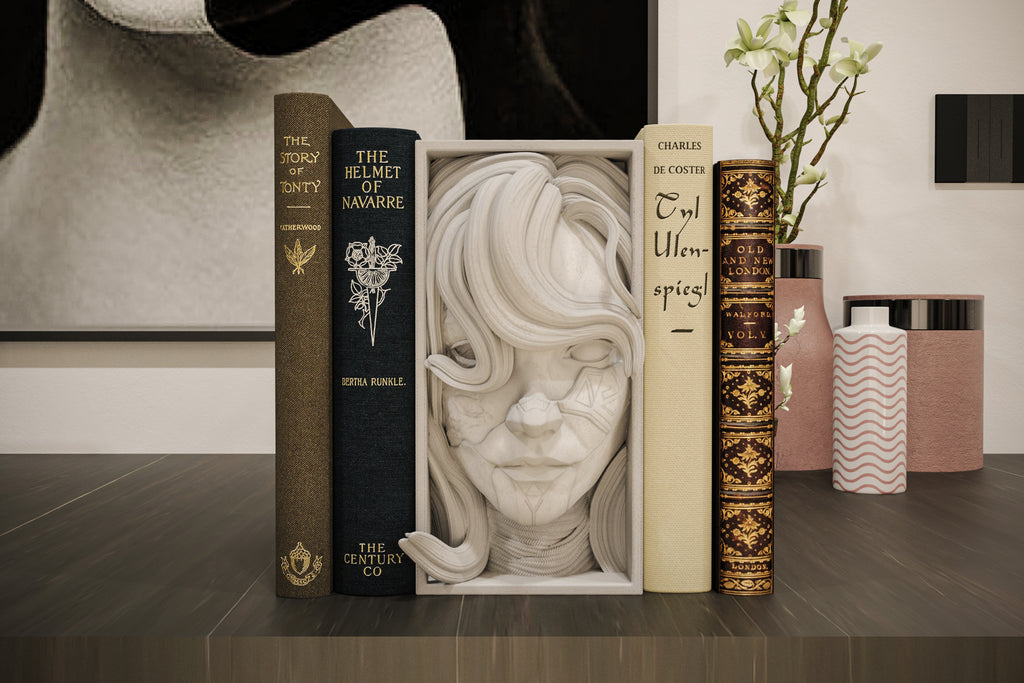 Alicia Book Nook and Wall Mount