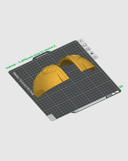 Sylvan Guard Helmet