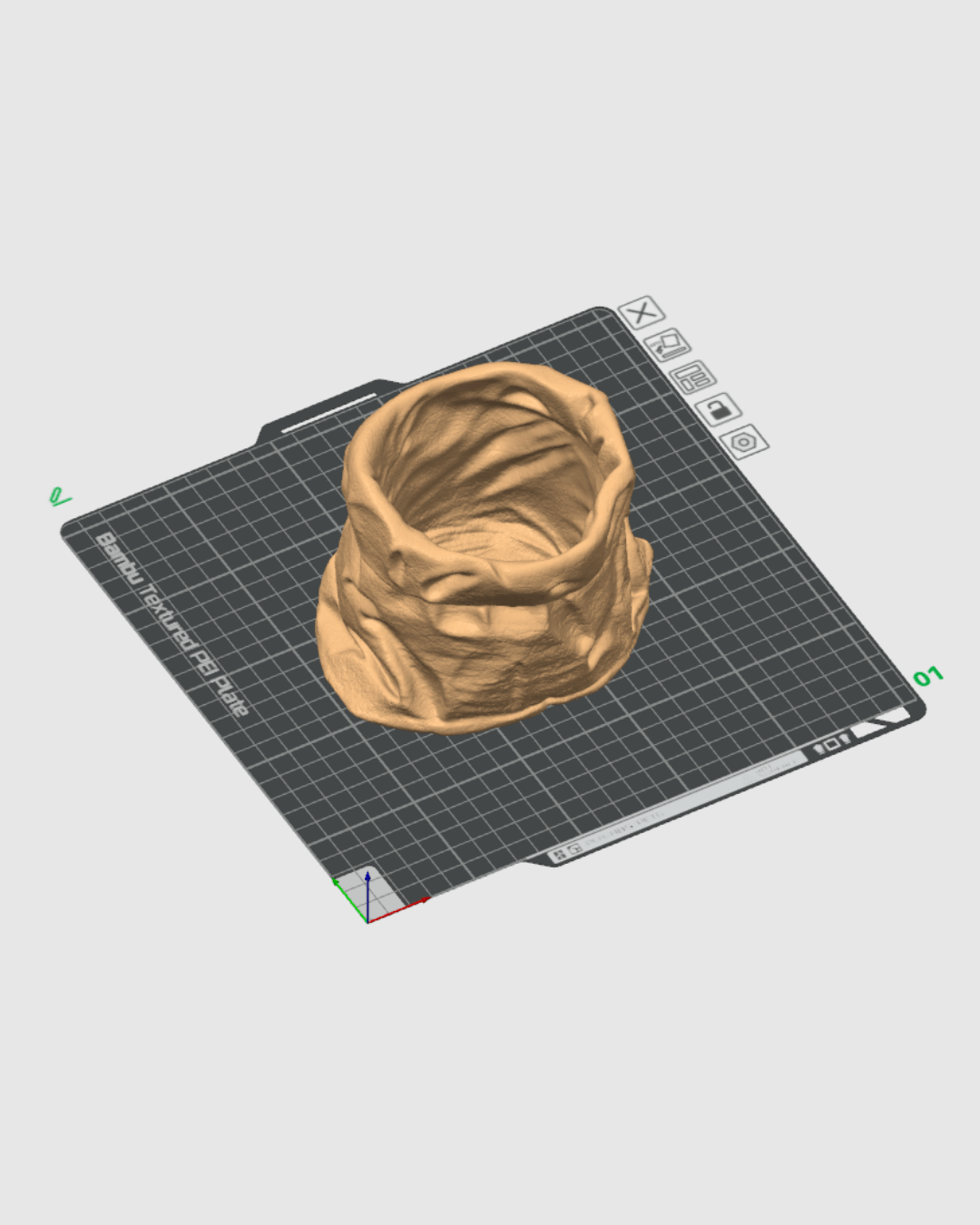 Well Carried - Wine Holder