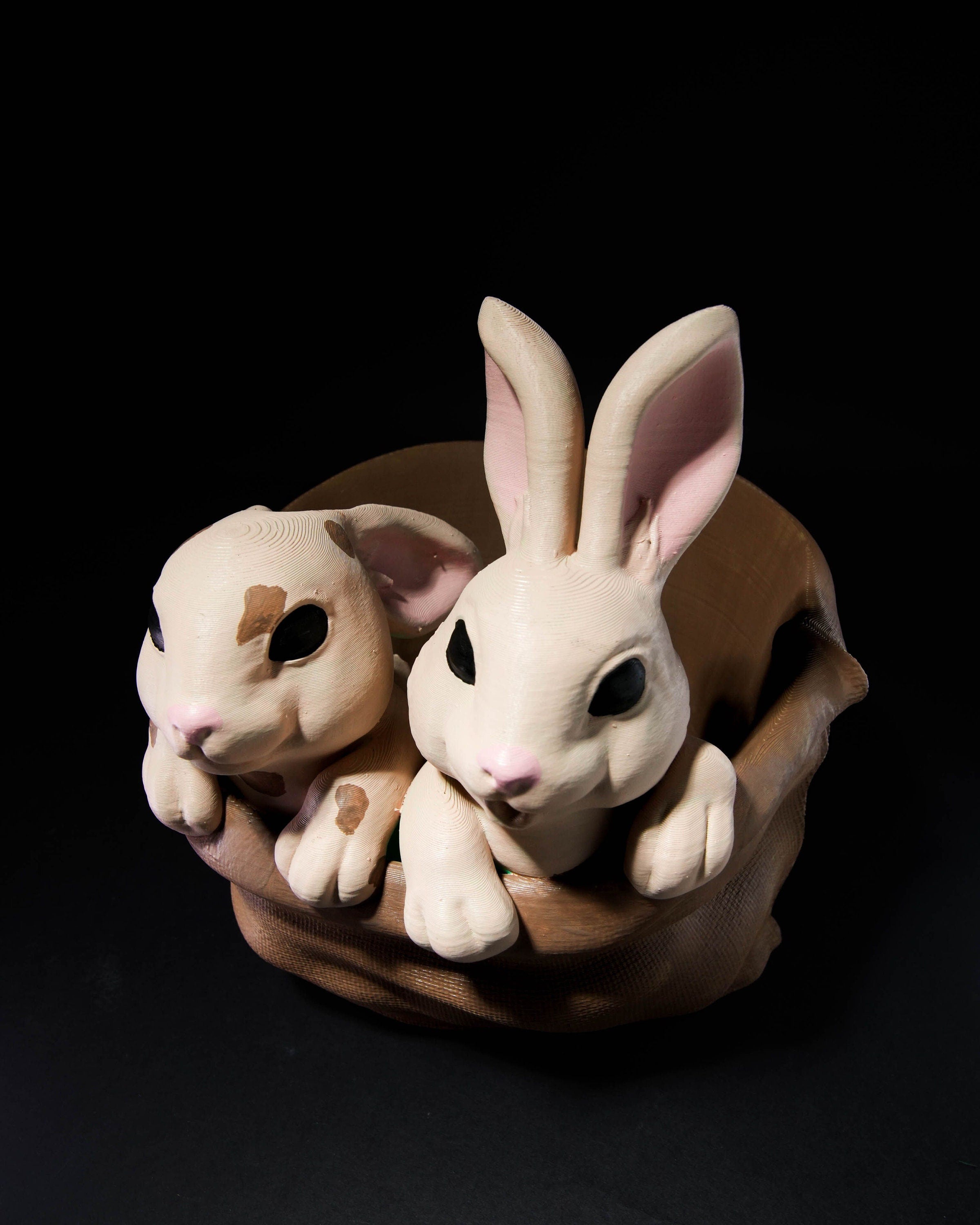 Easter Bunny Baskets - Baby Kitten