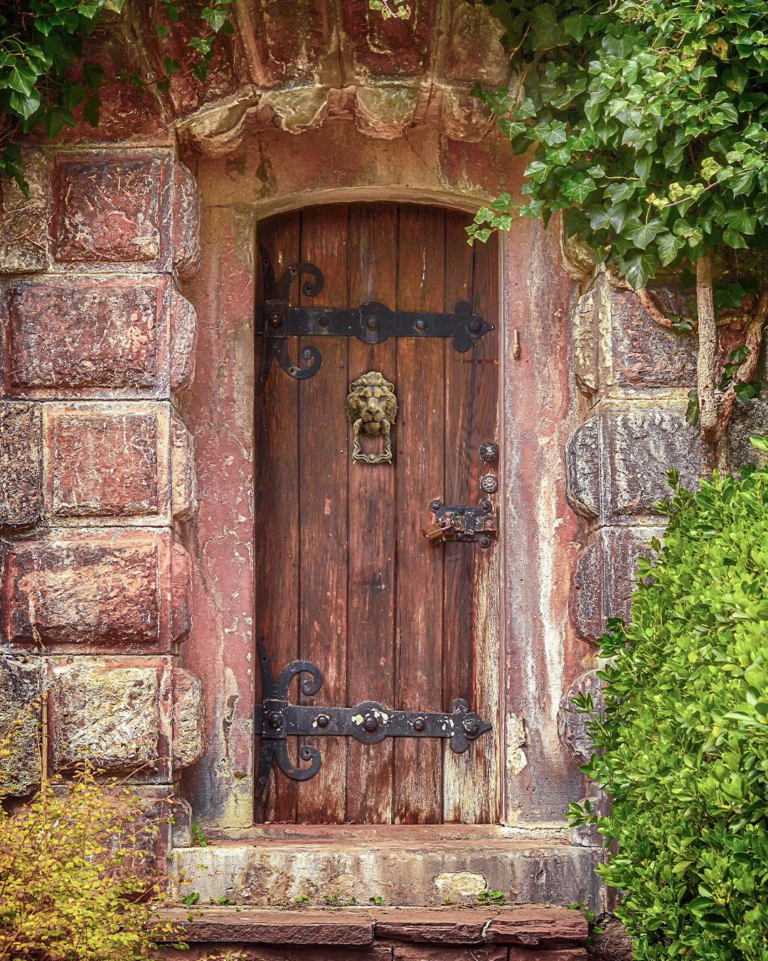 Might of the Lion Door Knocker