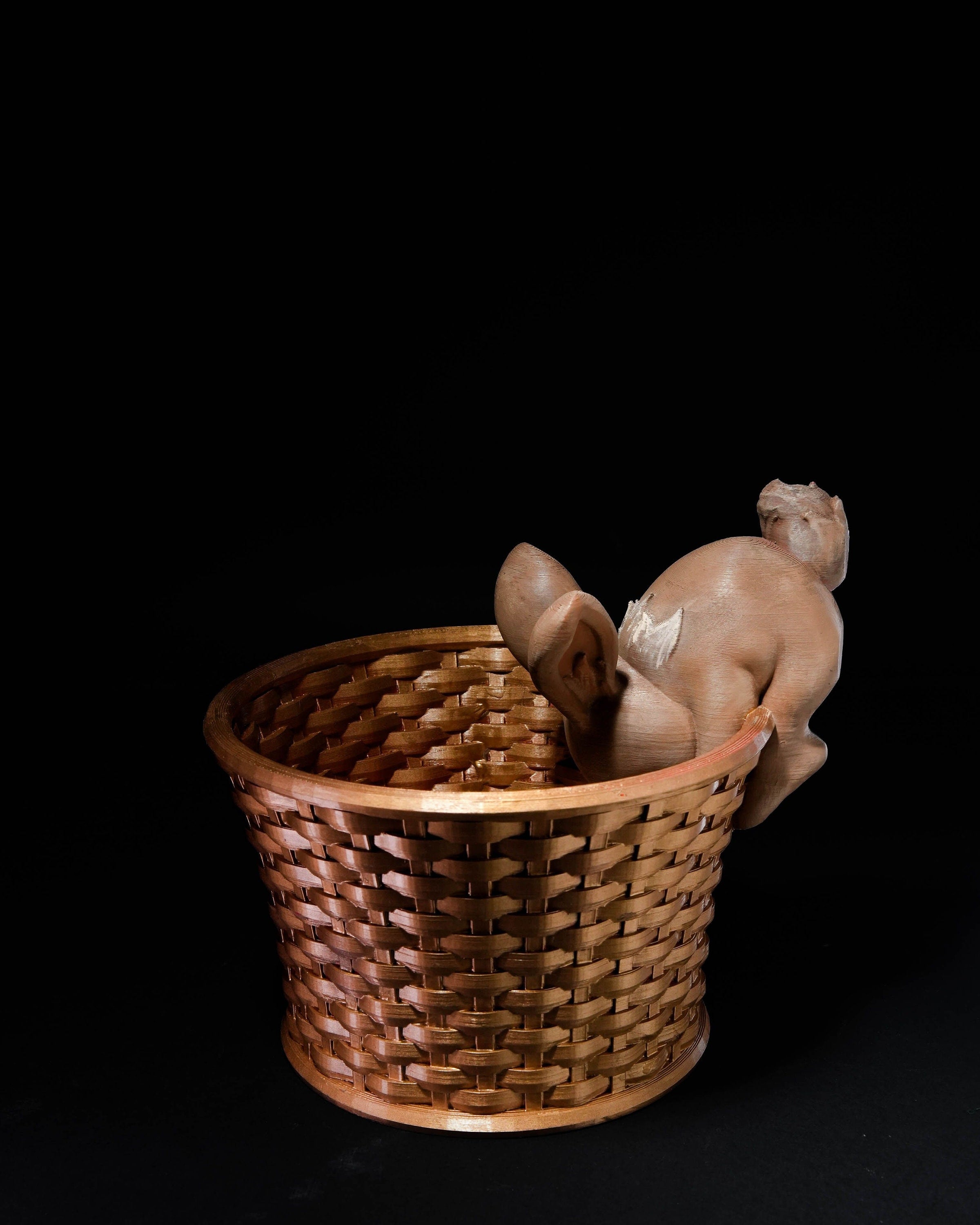 Easter Bunny Baskets - Curious Bunny