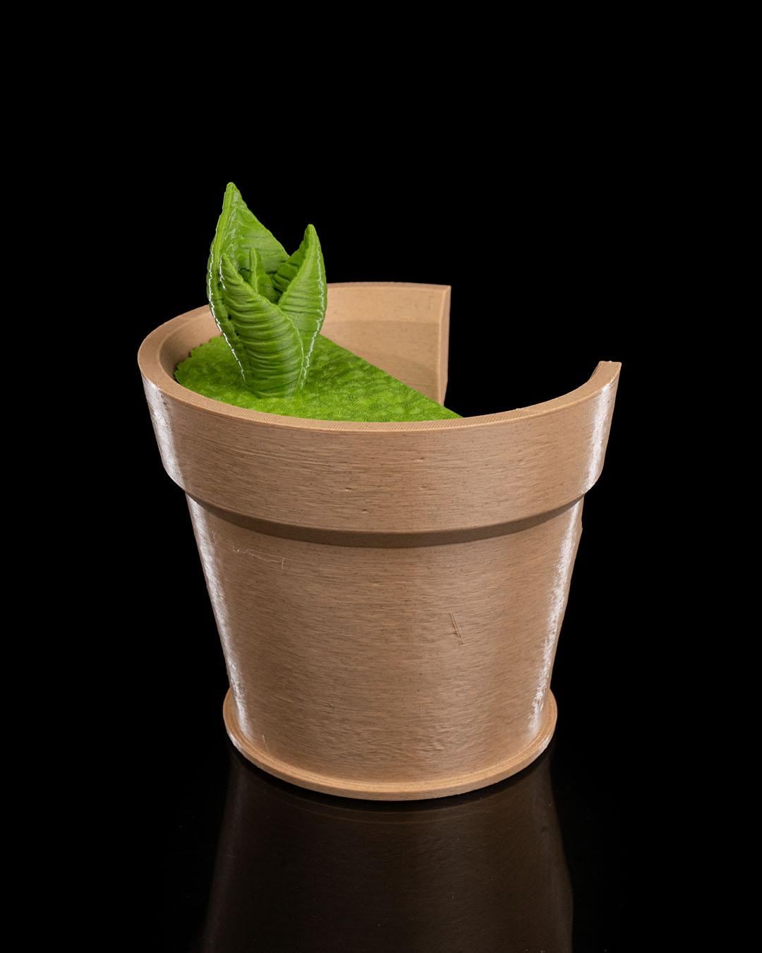 Snake Plant Wall Light