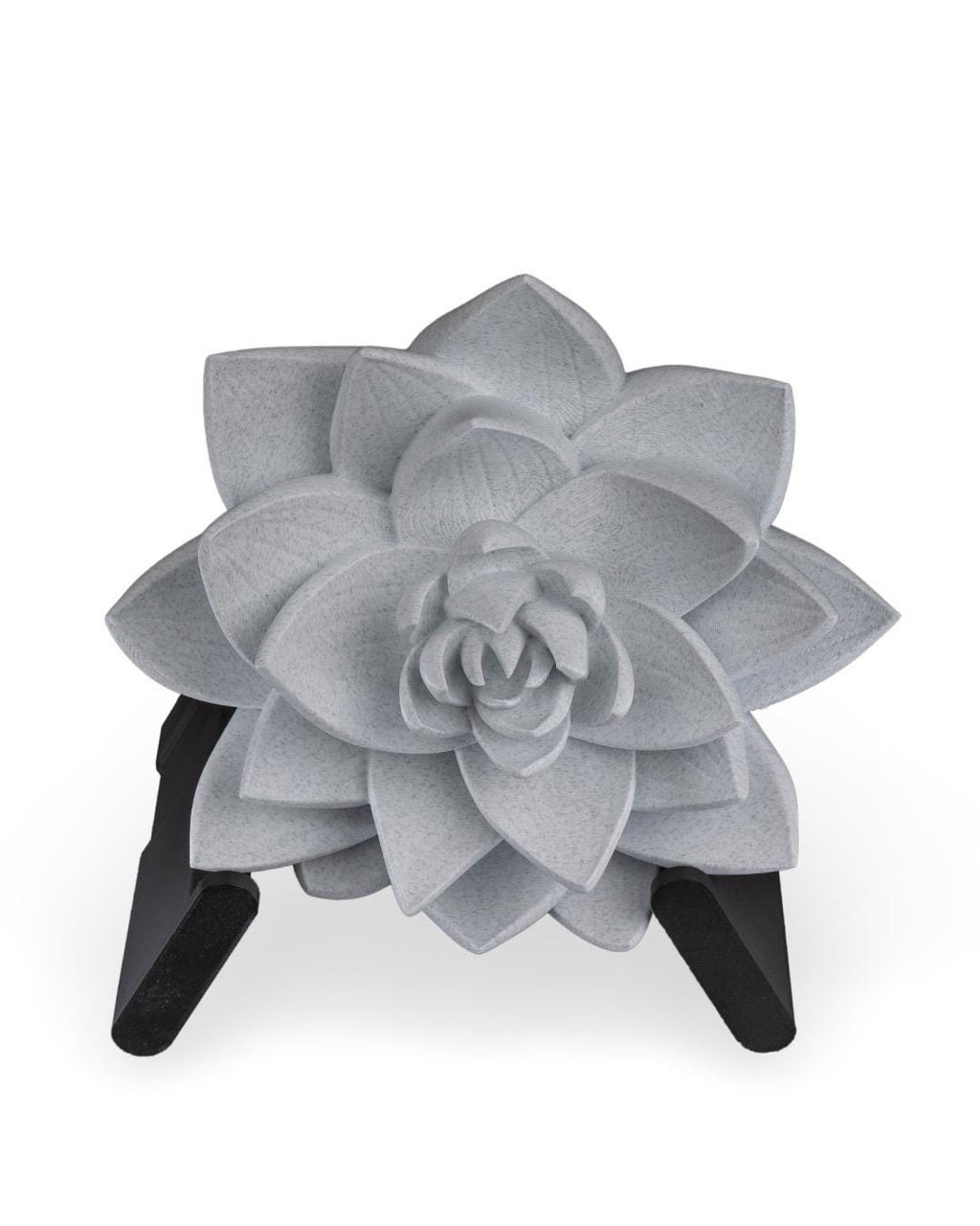 The Lotus Wall Light