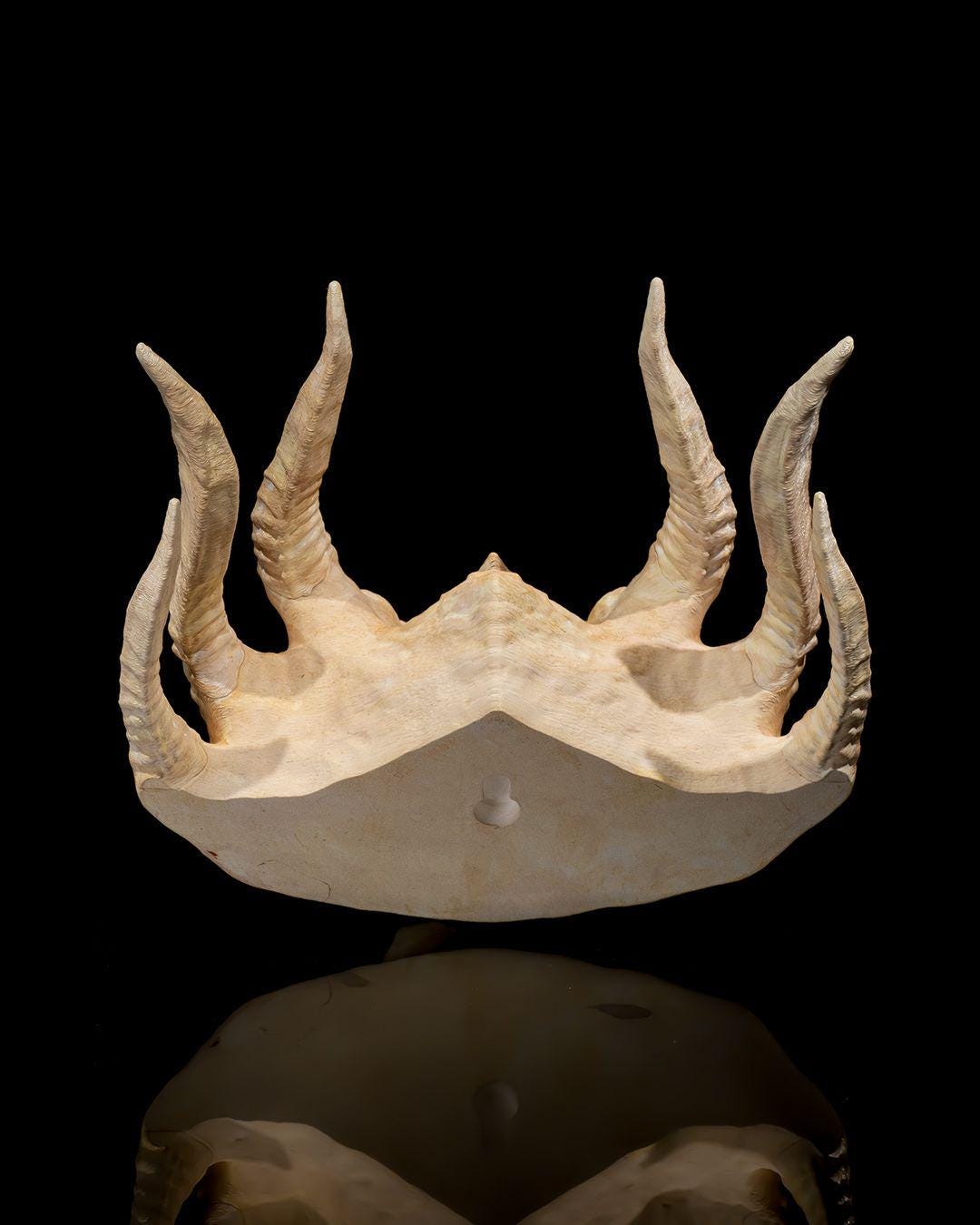 Silver Dragon Skull