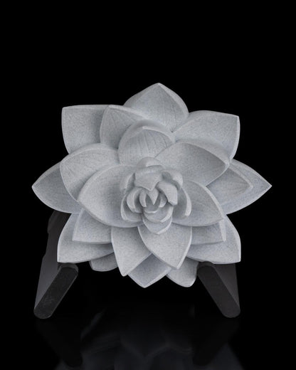 The Lotus Wall Light