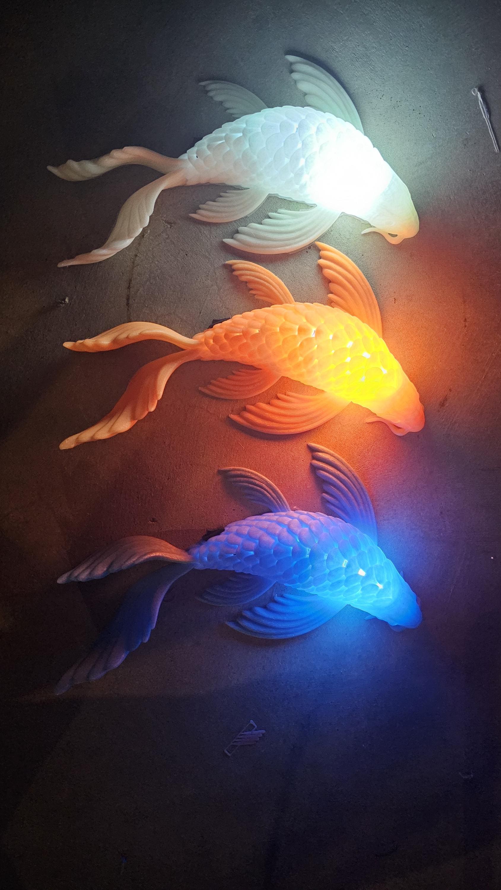 Koi Wall Light