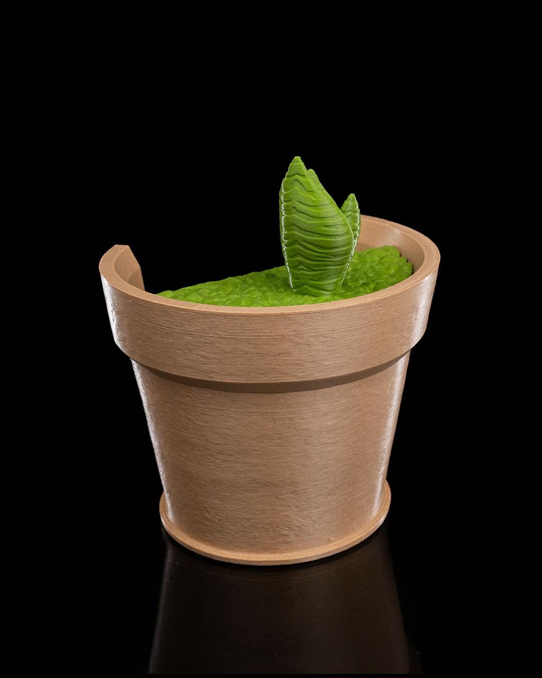 Snake Plant Wall Light