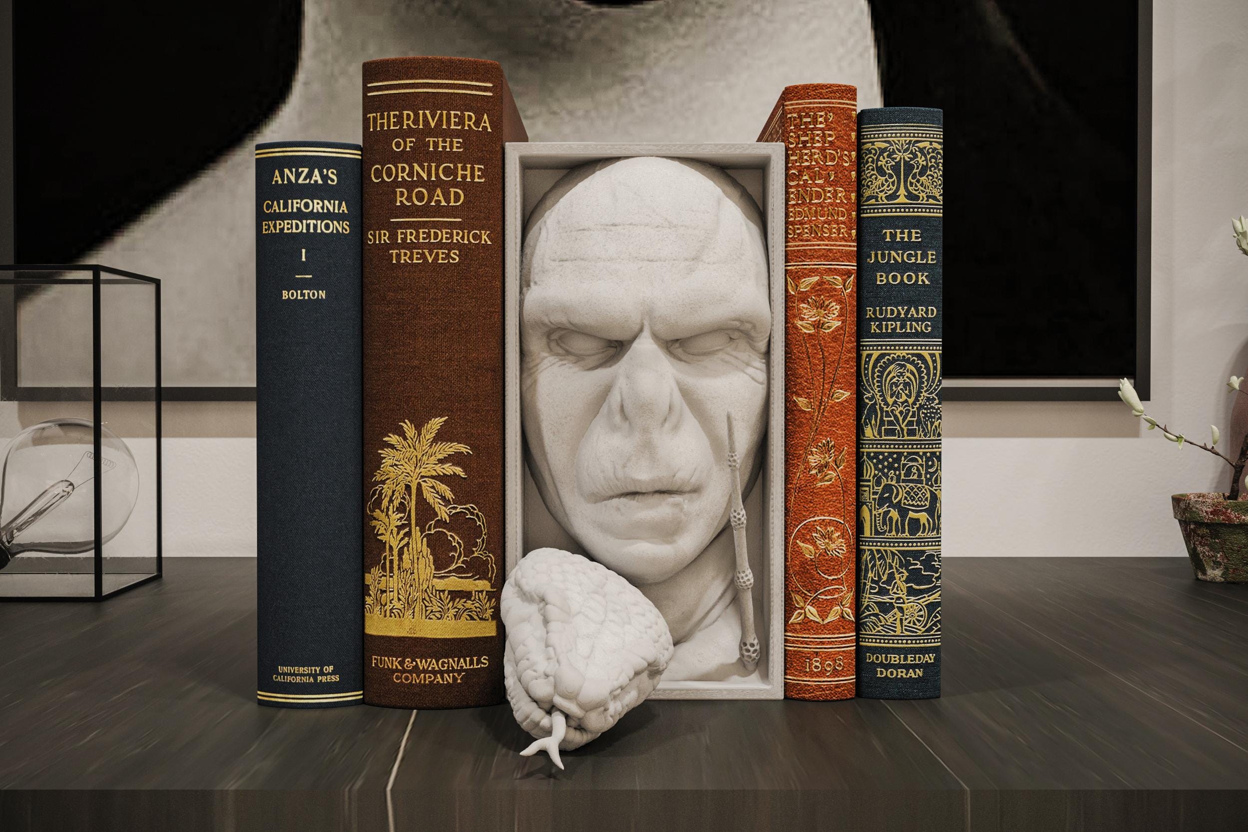 Voldemort Book Nook and Wall Mount