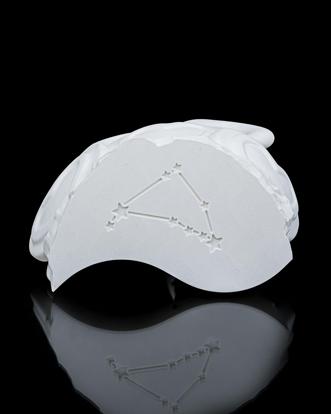 My valentine is a Capricorn