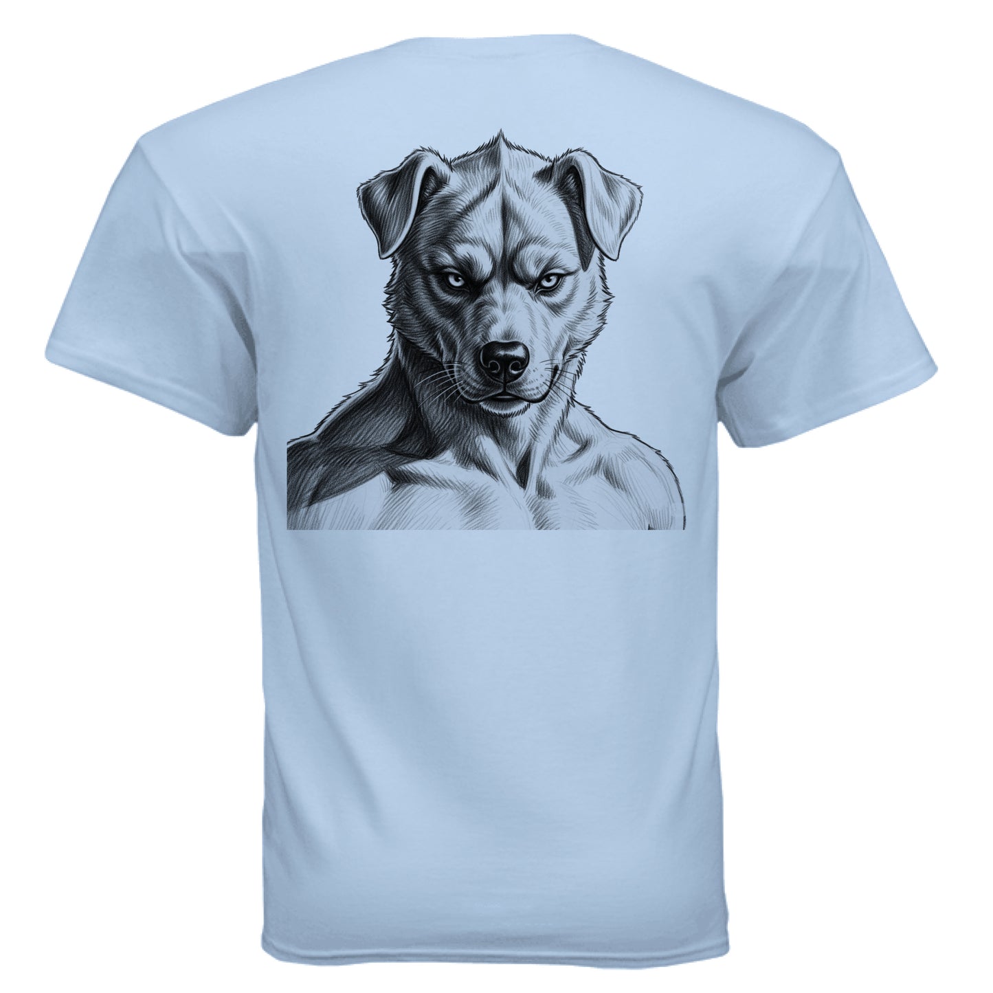 LIGHT BLUE - BACK