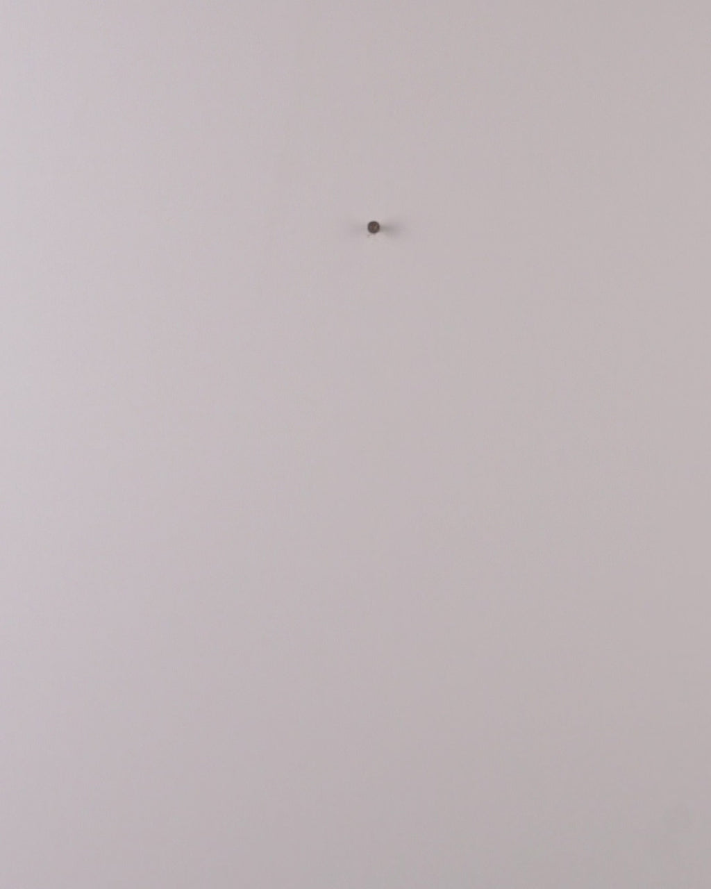 Santa Claws - Wreath